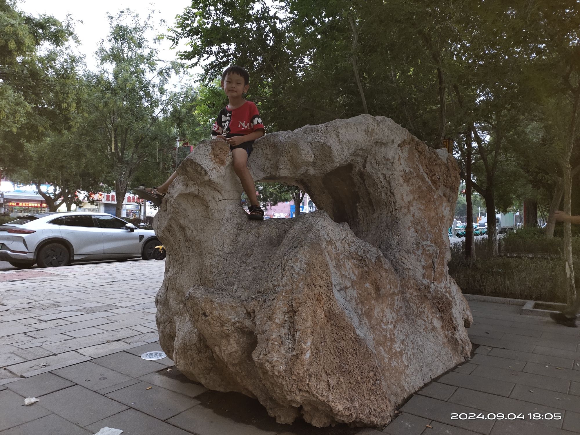 静园旅行图片 2