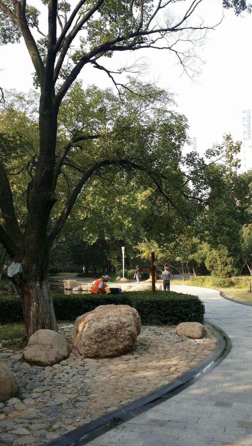 静园旅行图片 2