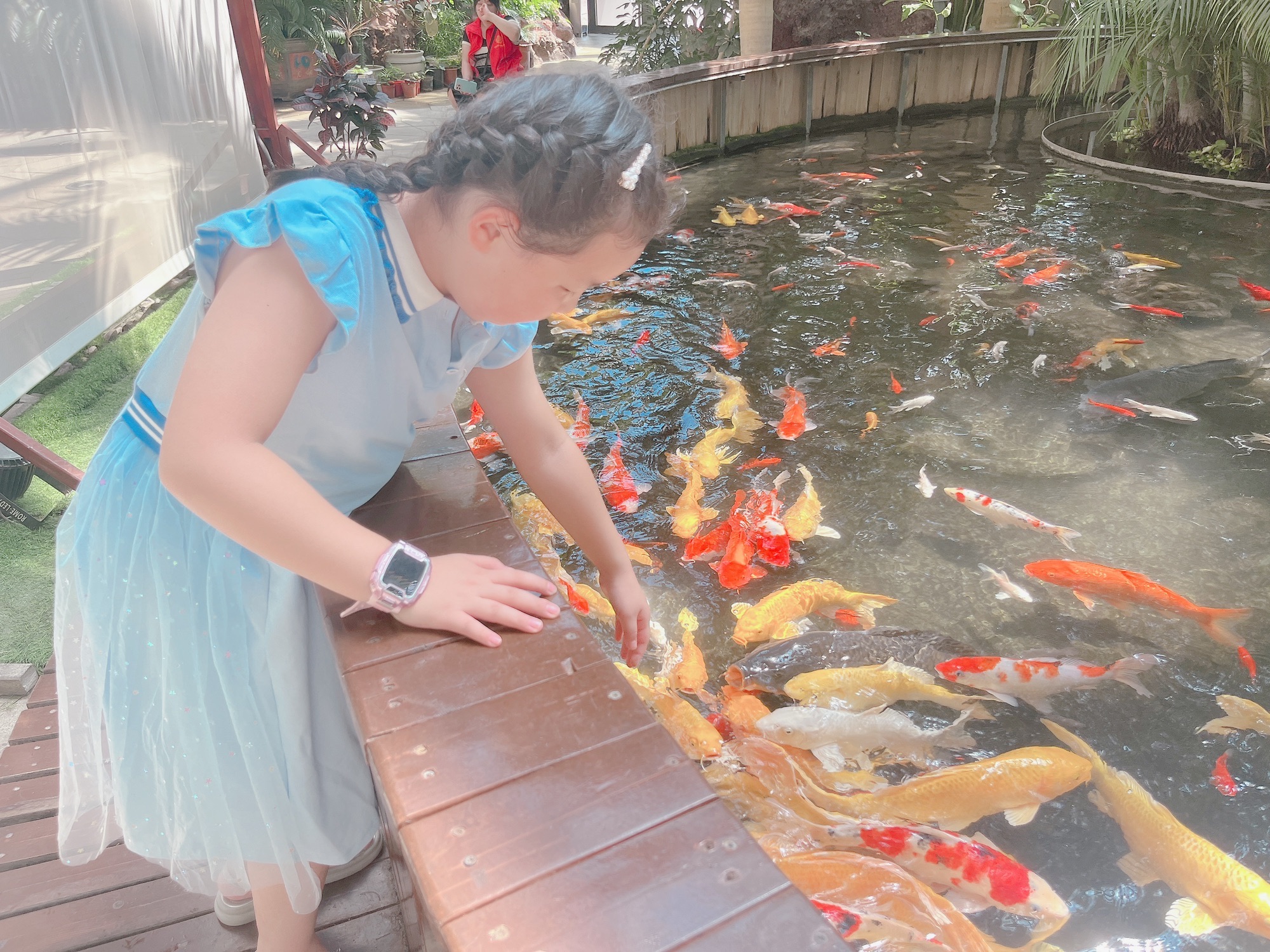 唐山南湖旅游景区旅行图片 2