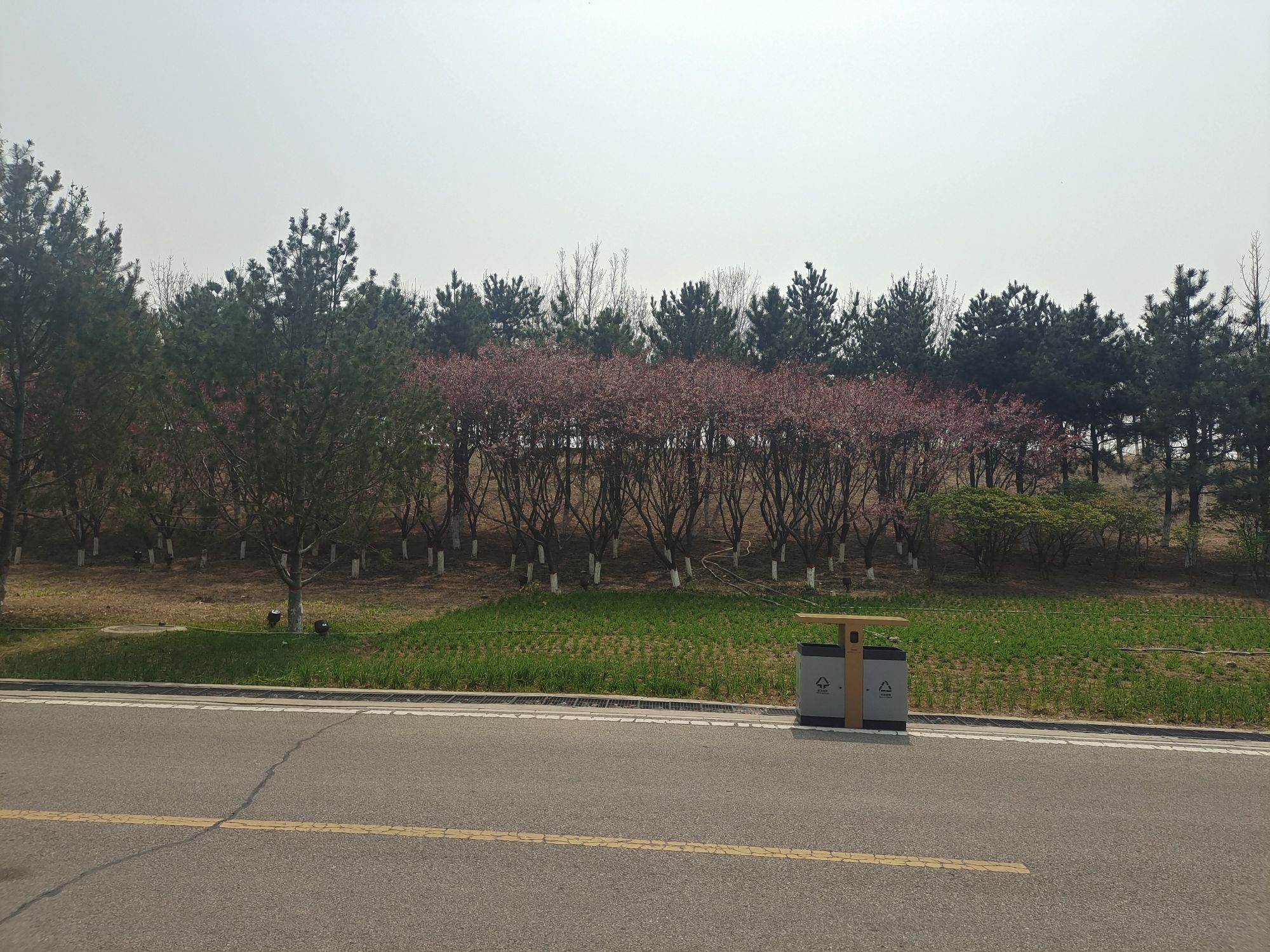 唐山南湖旅游景区旅行图片 3