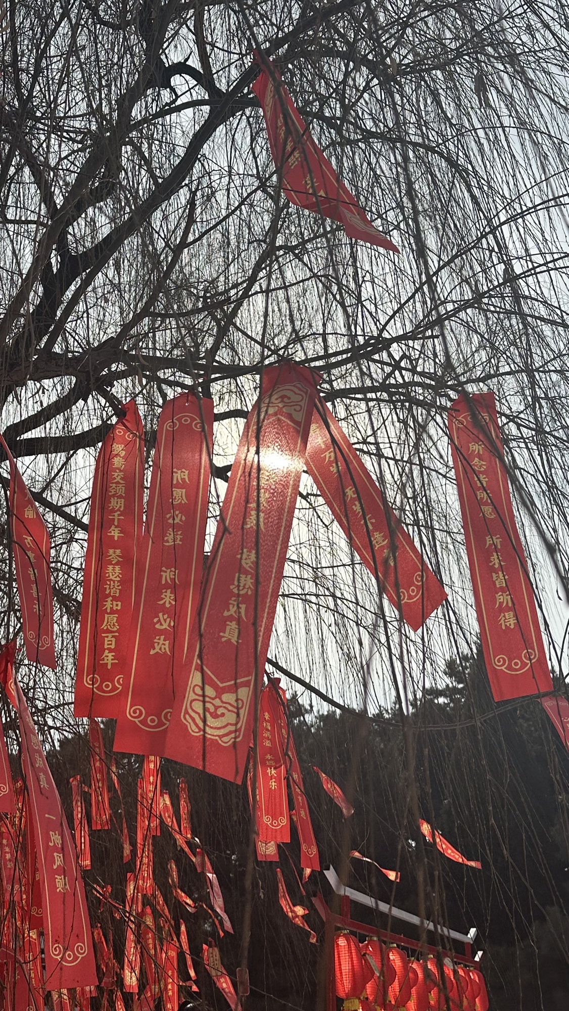 清东陵旅行图片 1