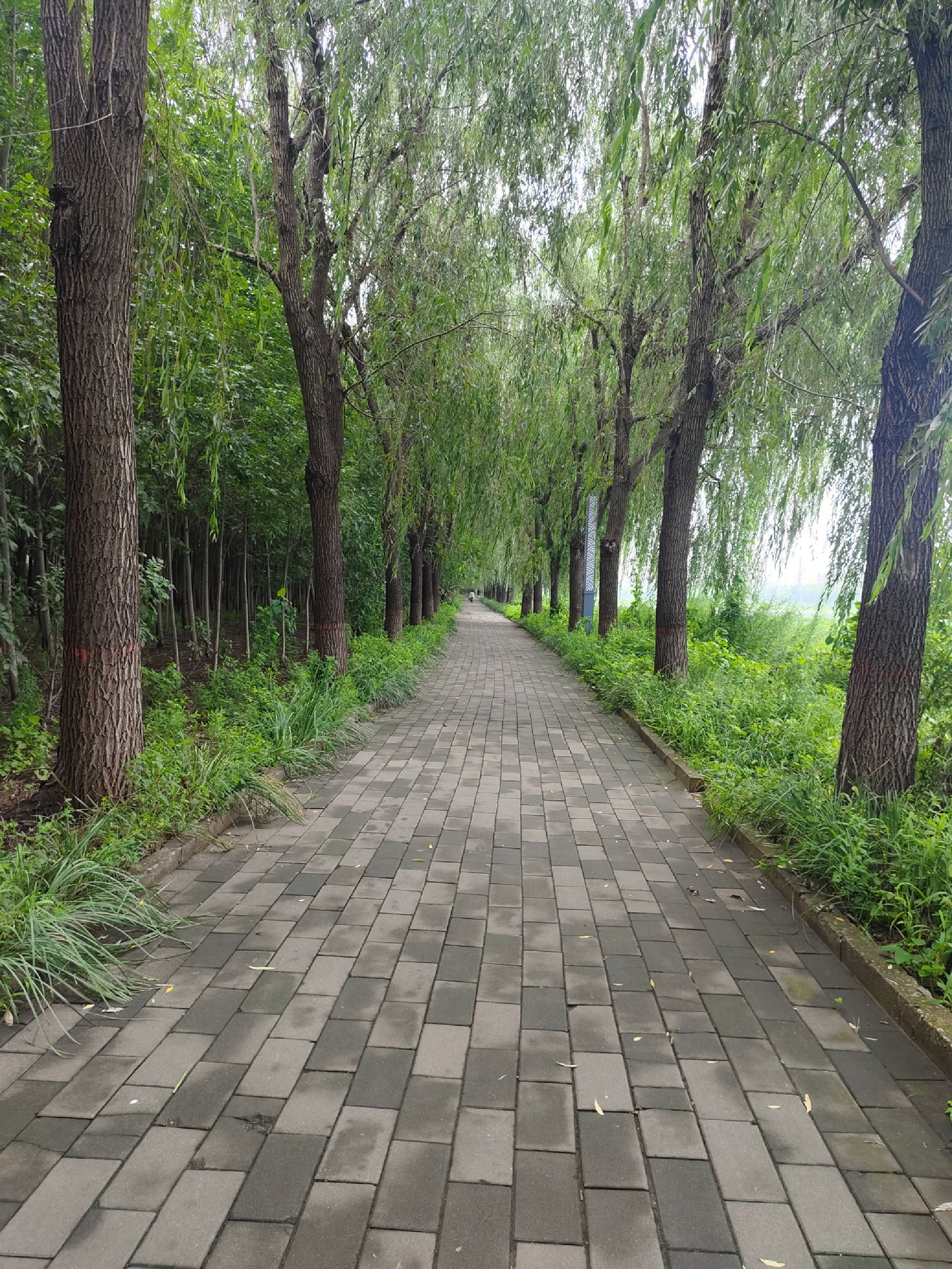 北河公园旅行图片 2