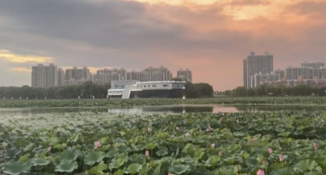 北河公园旅行图片