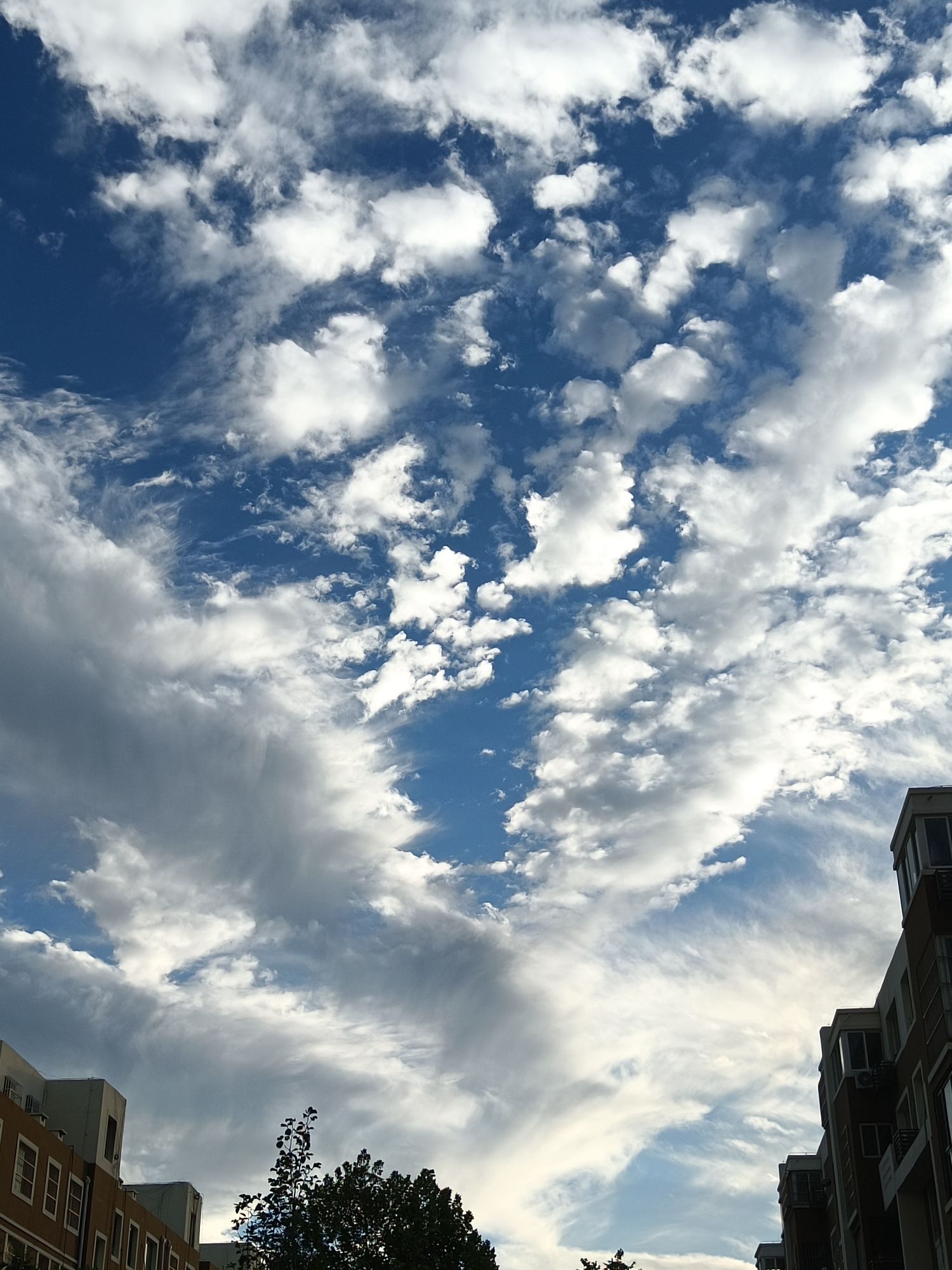北河公园旅行图片 2