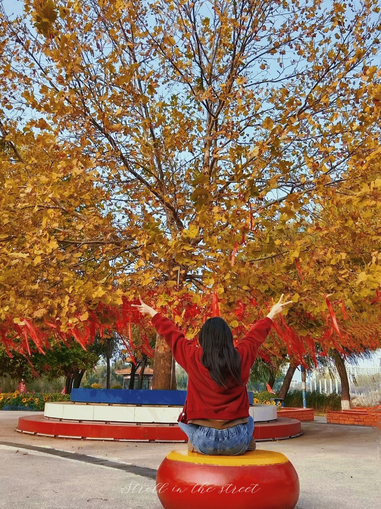 北河公园旅行图片 1
