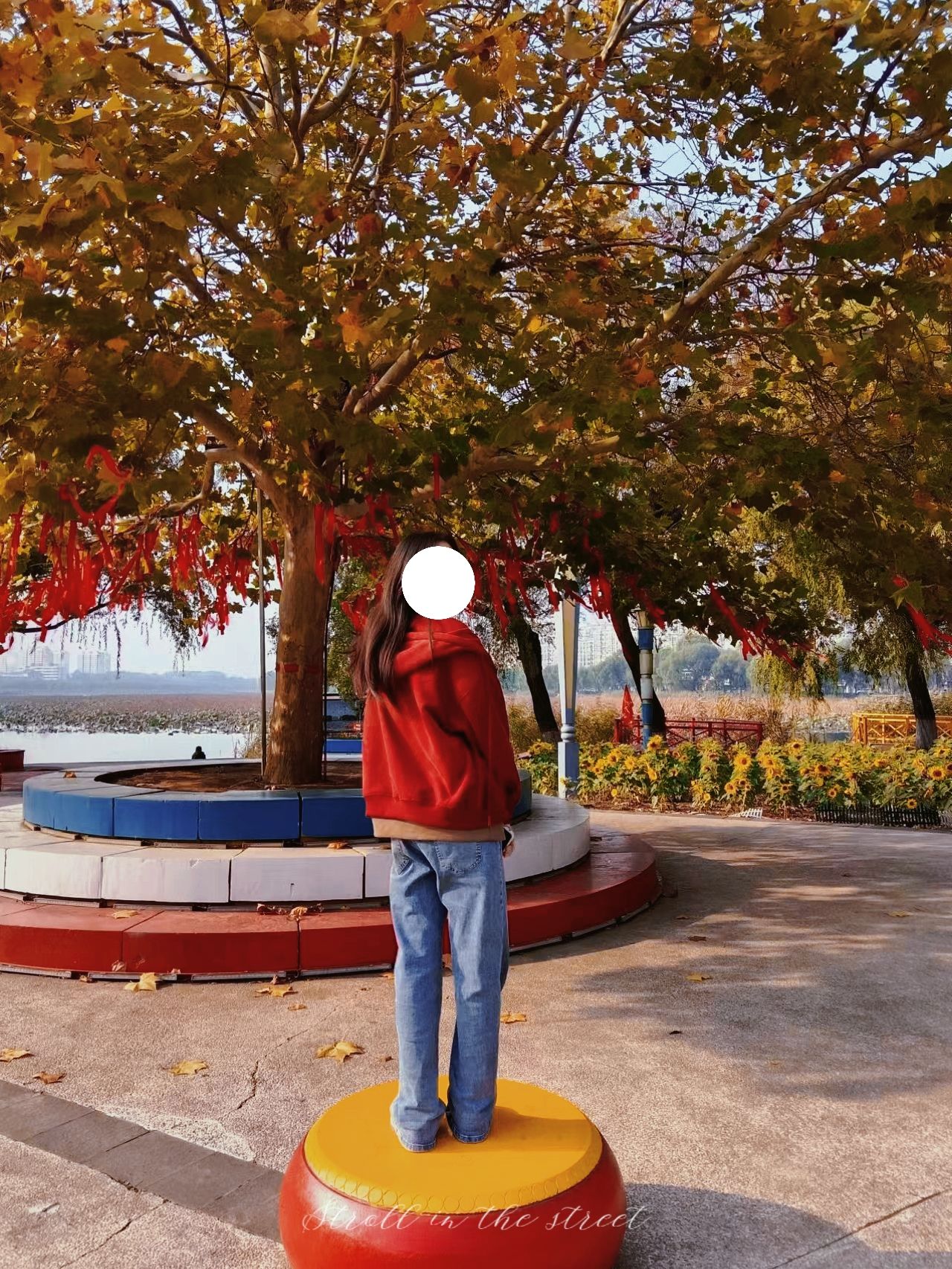 北河公园旅行图片 2