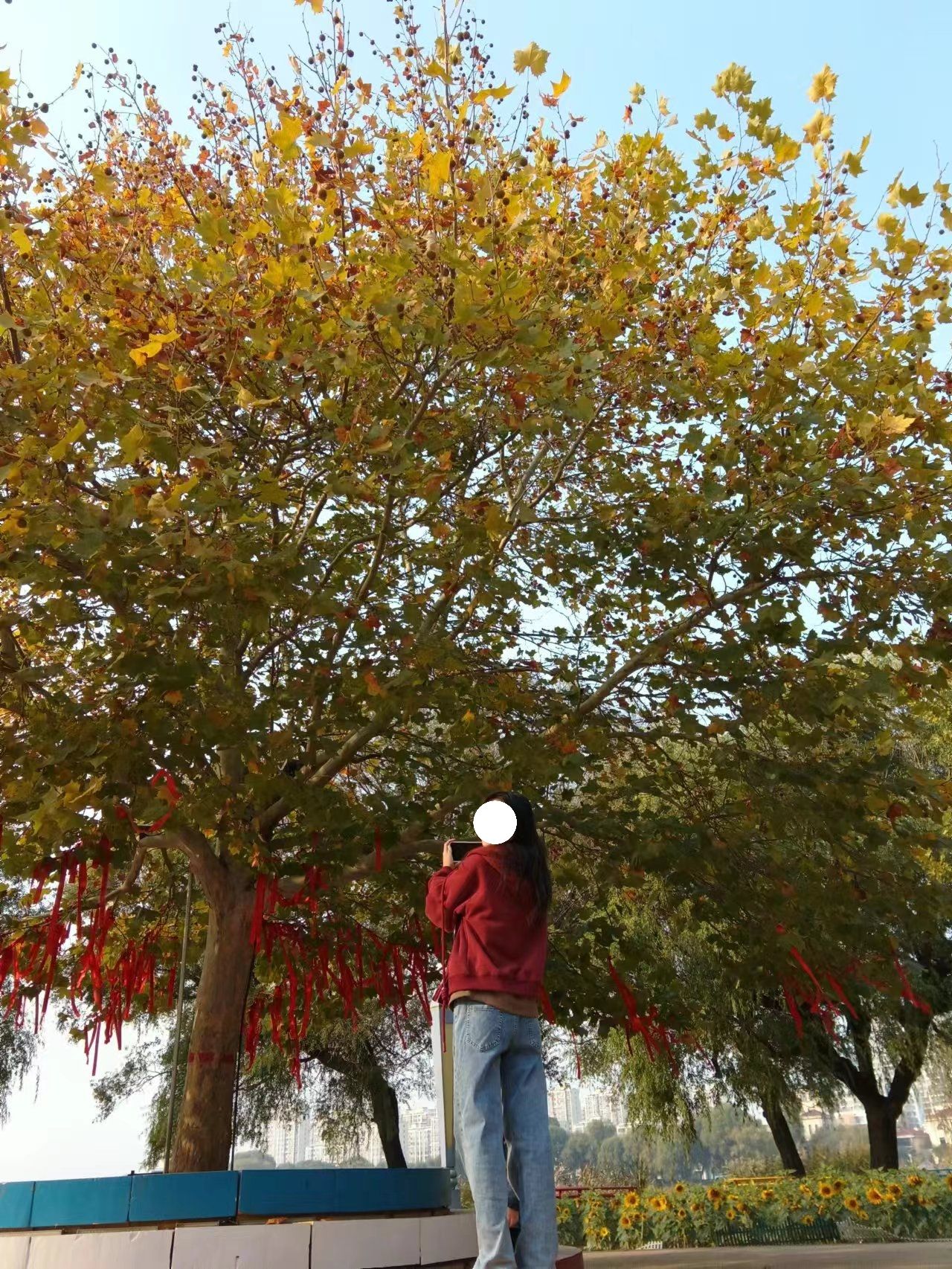 北河公园旅行图片 3