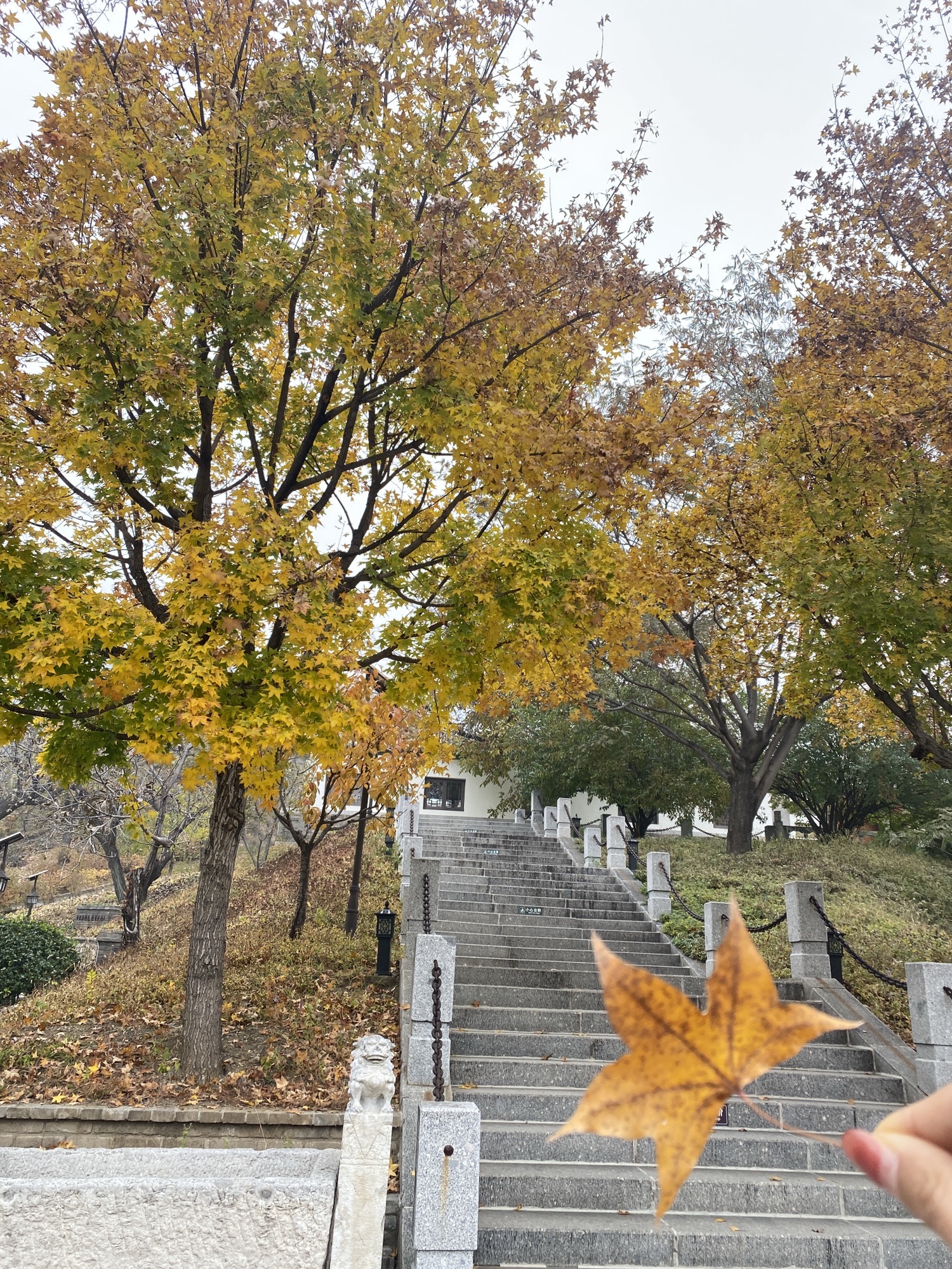 青山关景区旅行图片 2