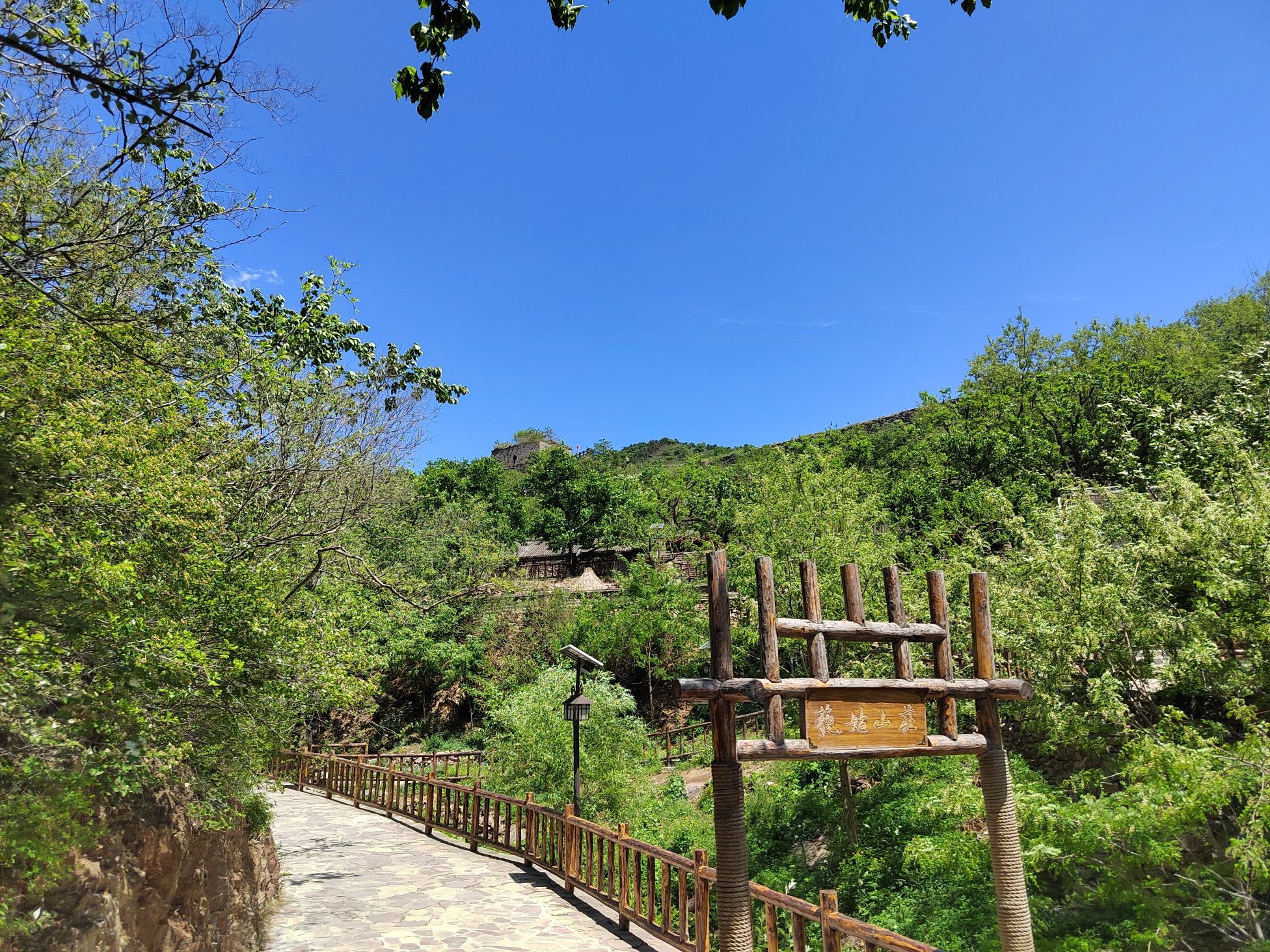 青山关景区旅行图片 1