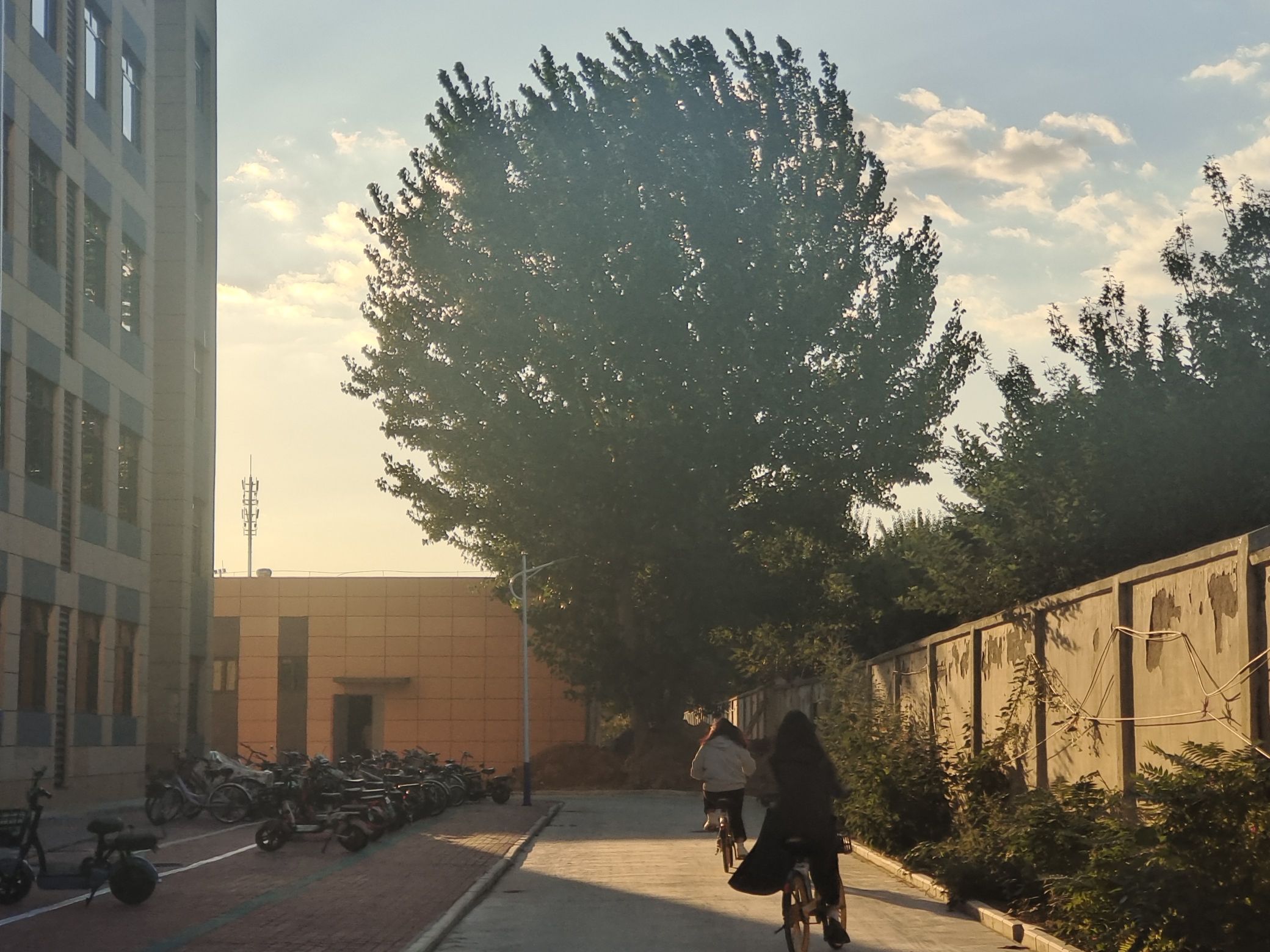 唐山师范学院大学道校区北院