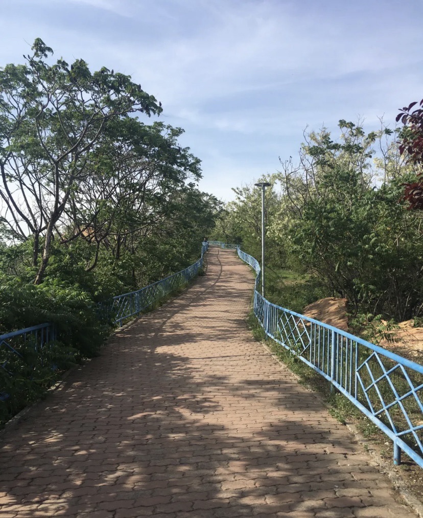 中山公园旅行图片 3