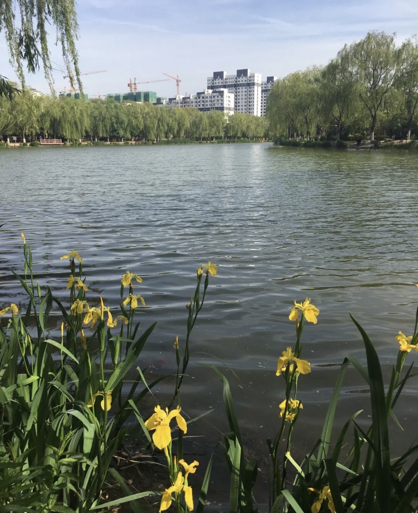 中山公园旅行图片 2