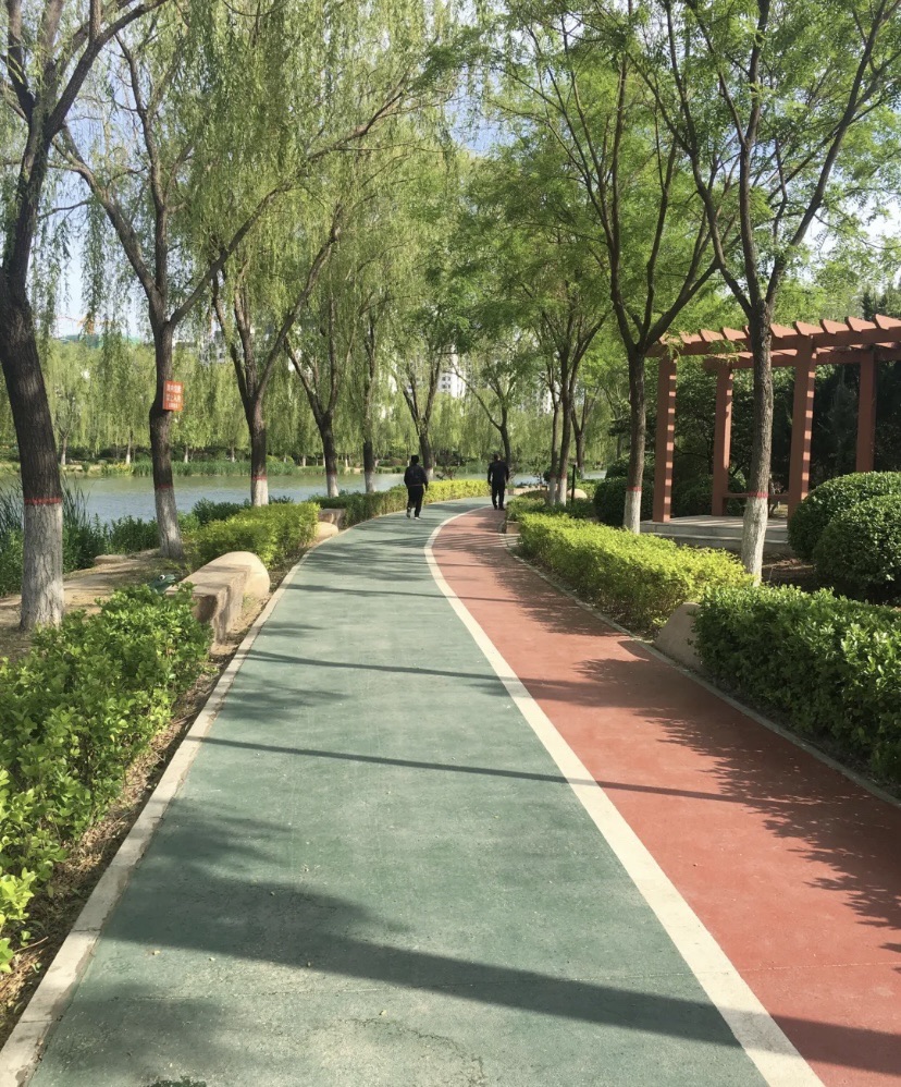 中山公园旅行图片 1