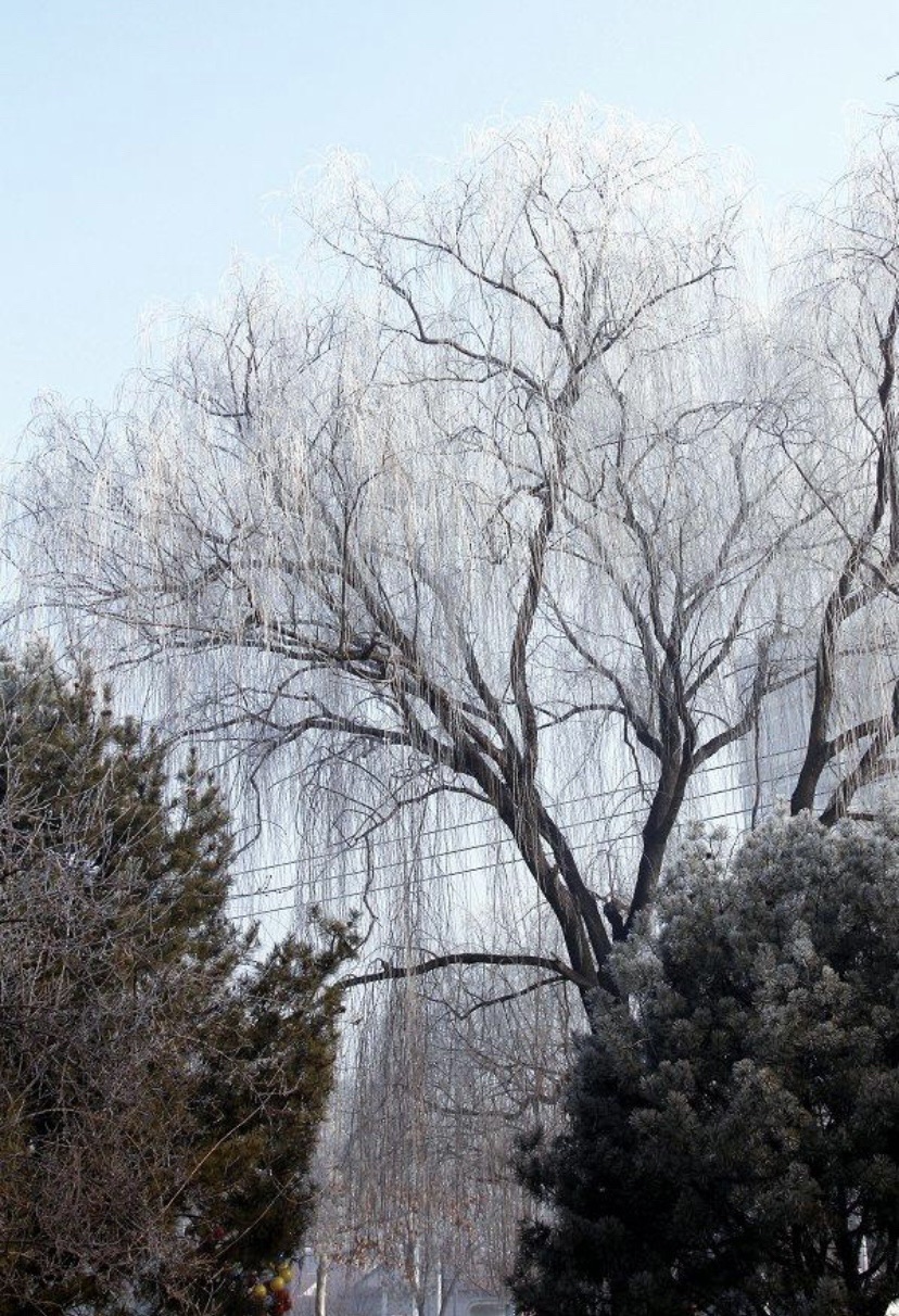 青春广场旅行图片 3