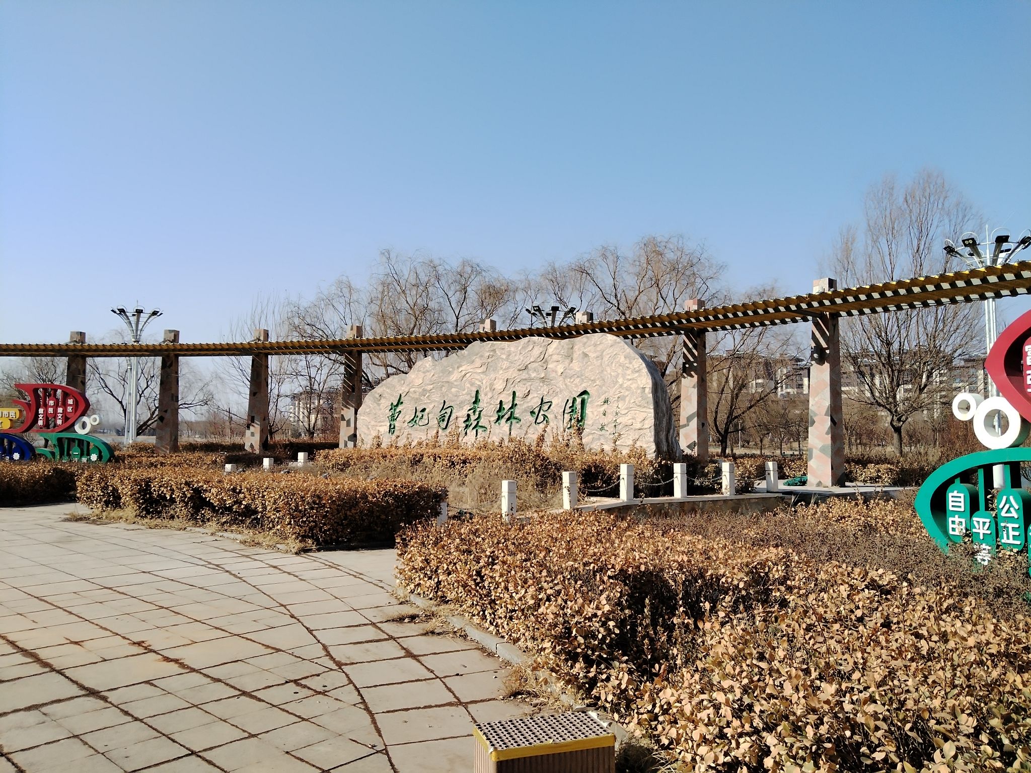 曹妃甸森林公园