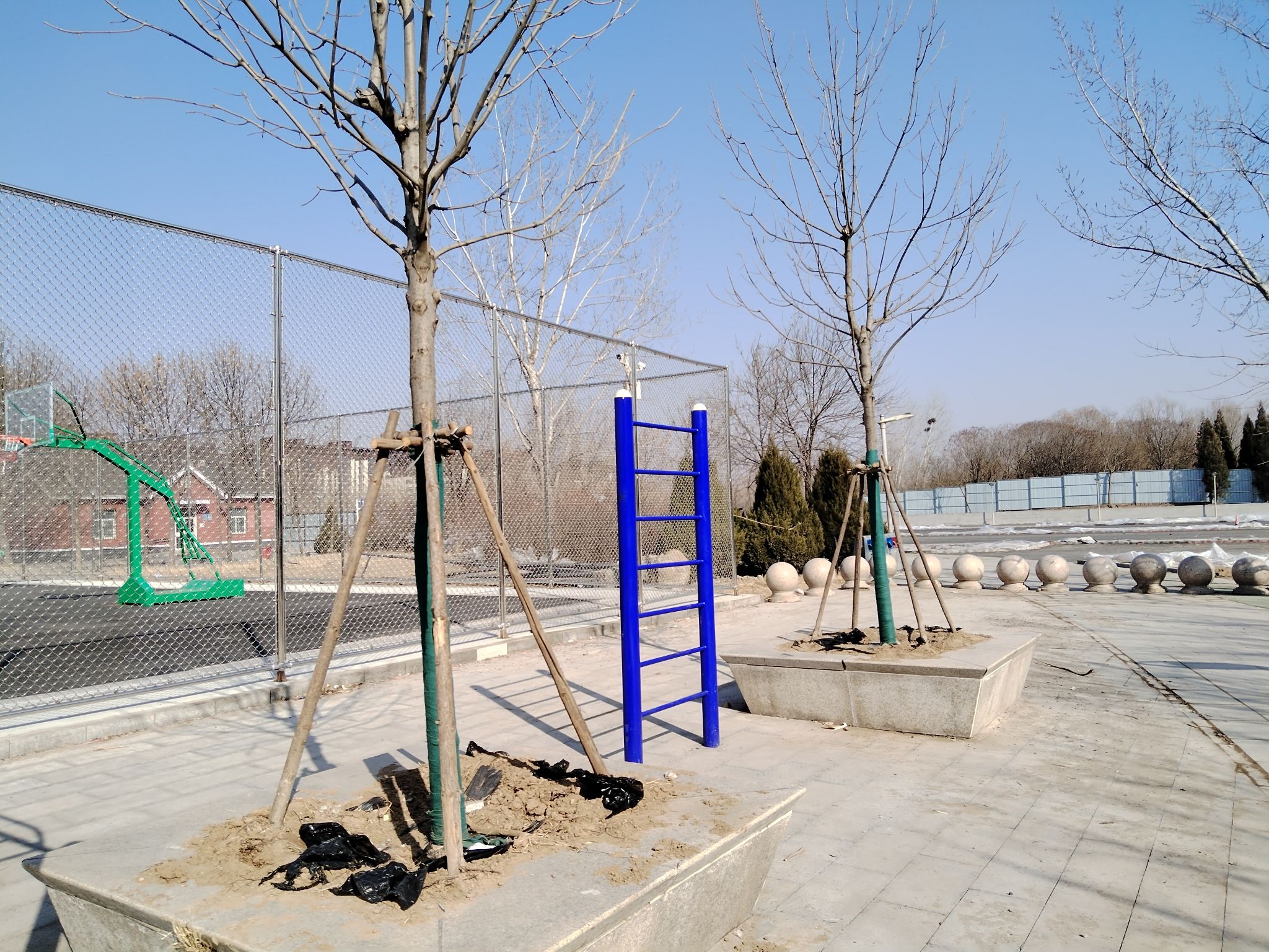 曹妃甸森林公园旅行图片 2