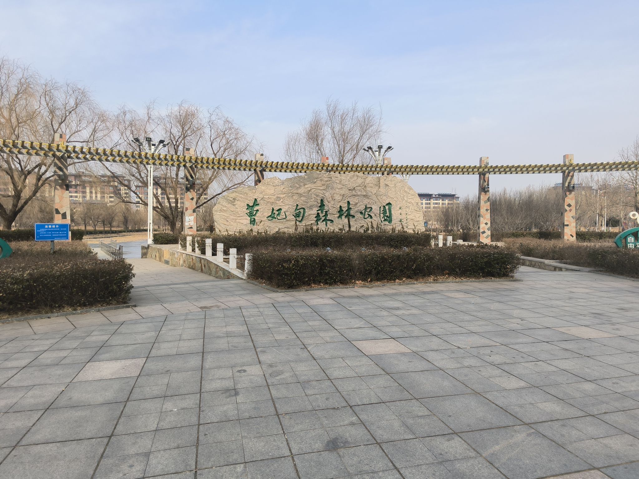 曹妃甸森林公园