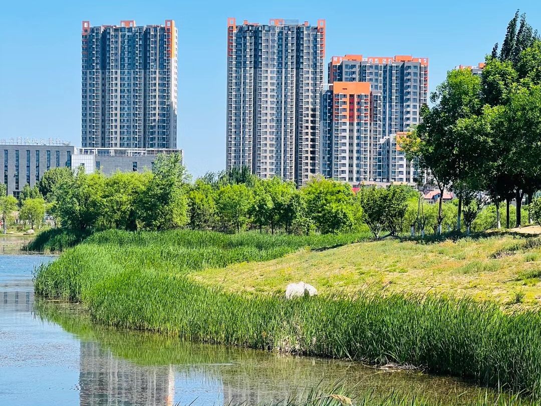 唐山陶瓷公园旅行图片 3