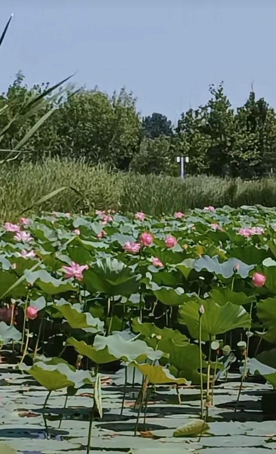 唐山陶瓷公园旅行图片 1