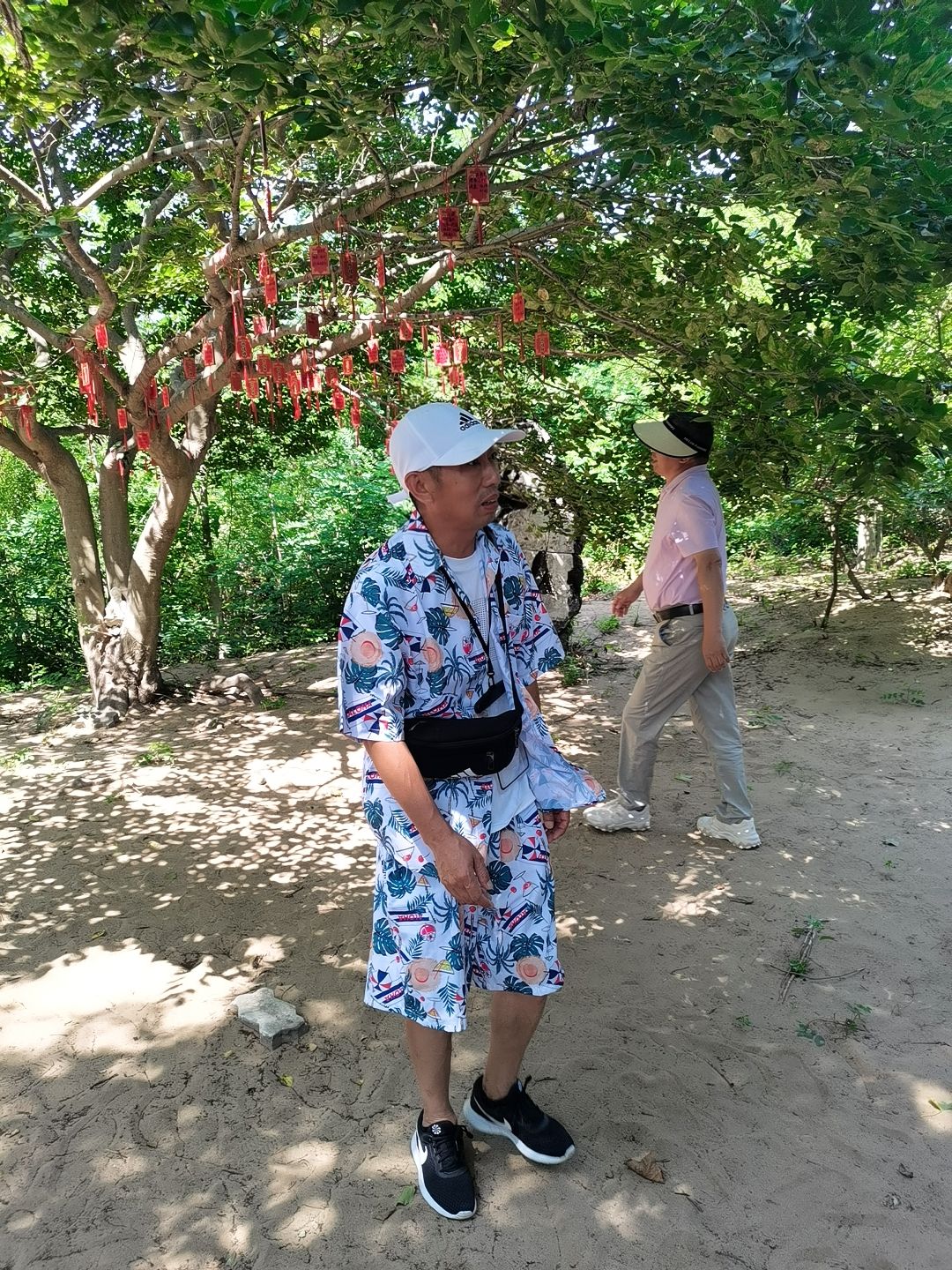 唐山湾国际旅游岛旅行图片 3