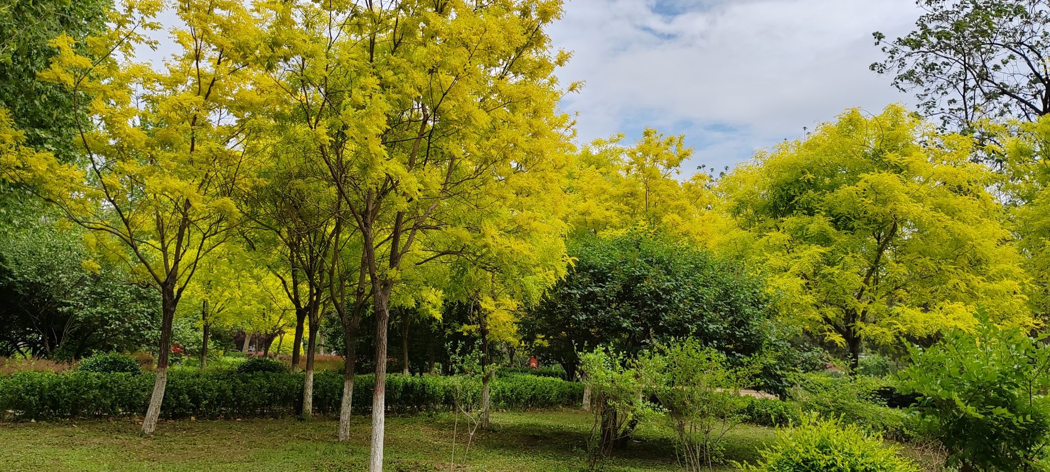小河游园旅行图片 1