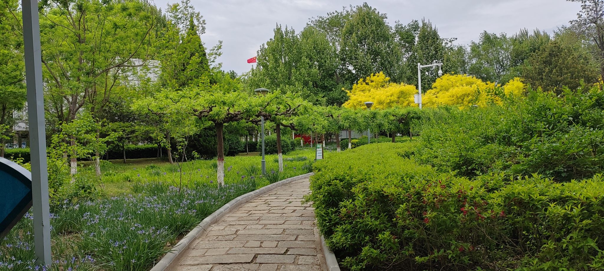 小河游园旅行图片 3