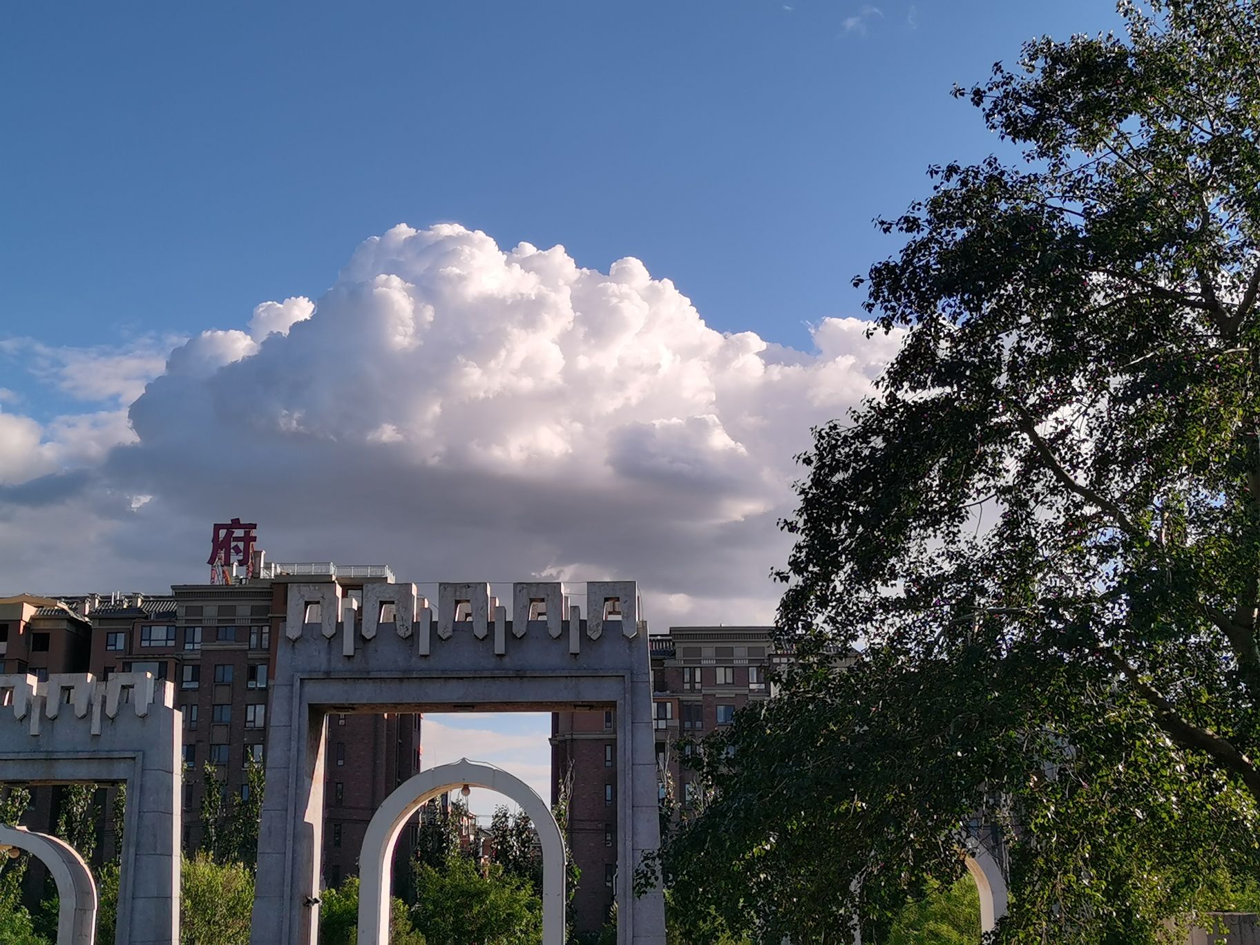 大城山公园旅行图片 1