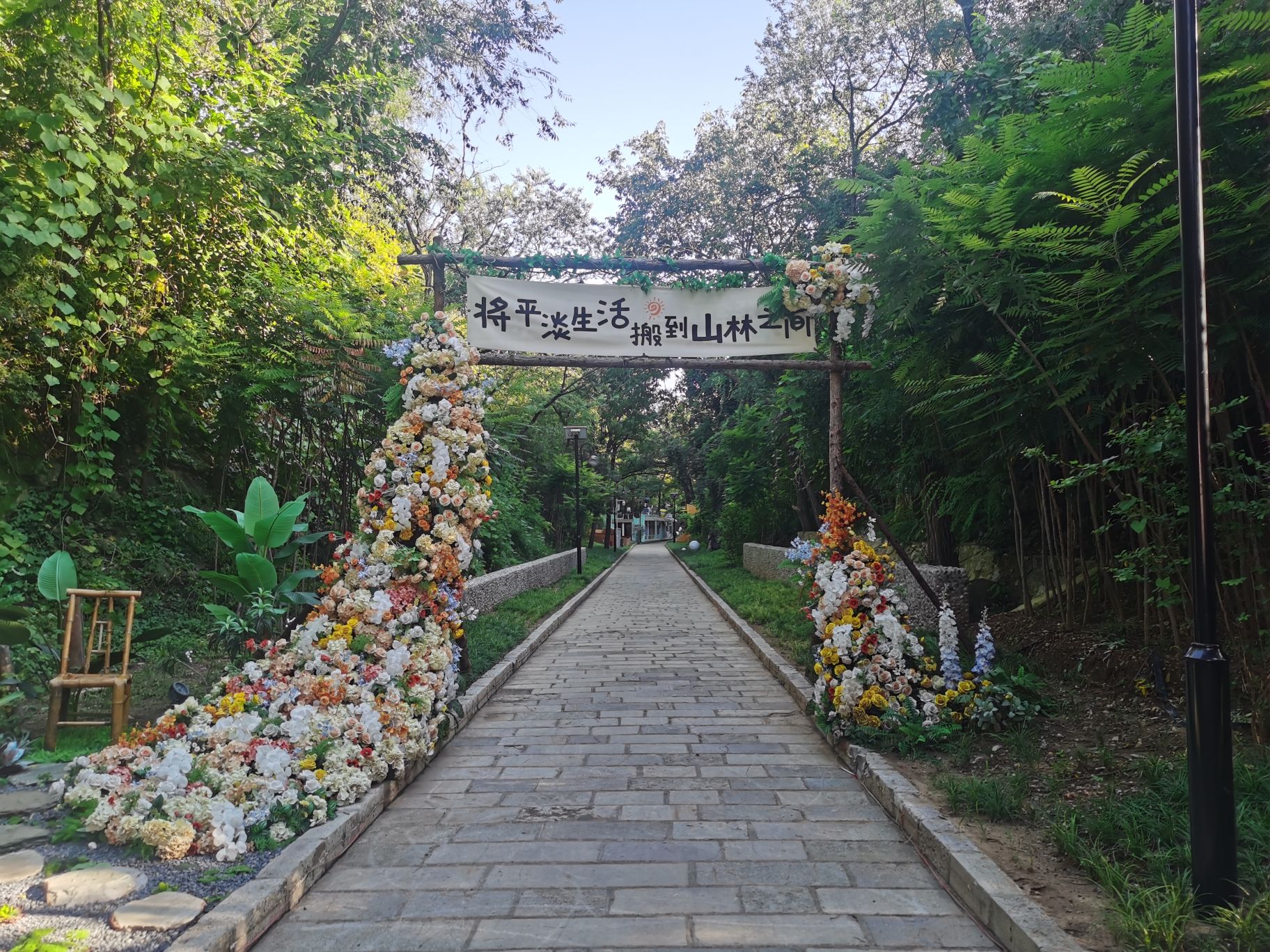 大城山公园旅行图片 2