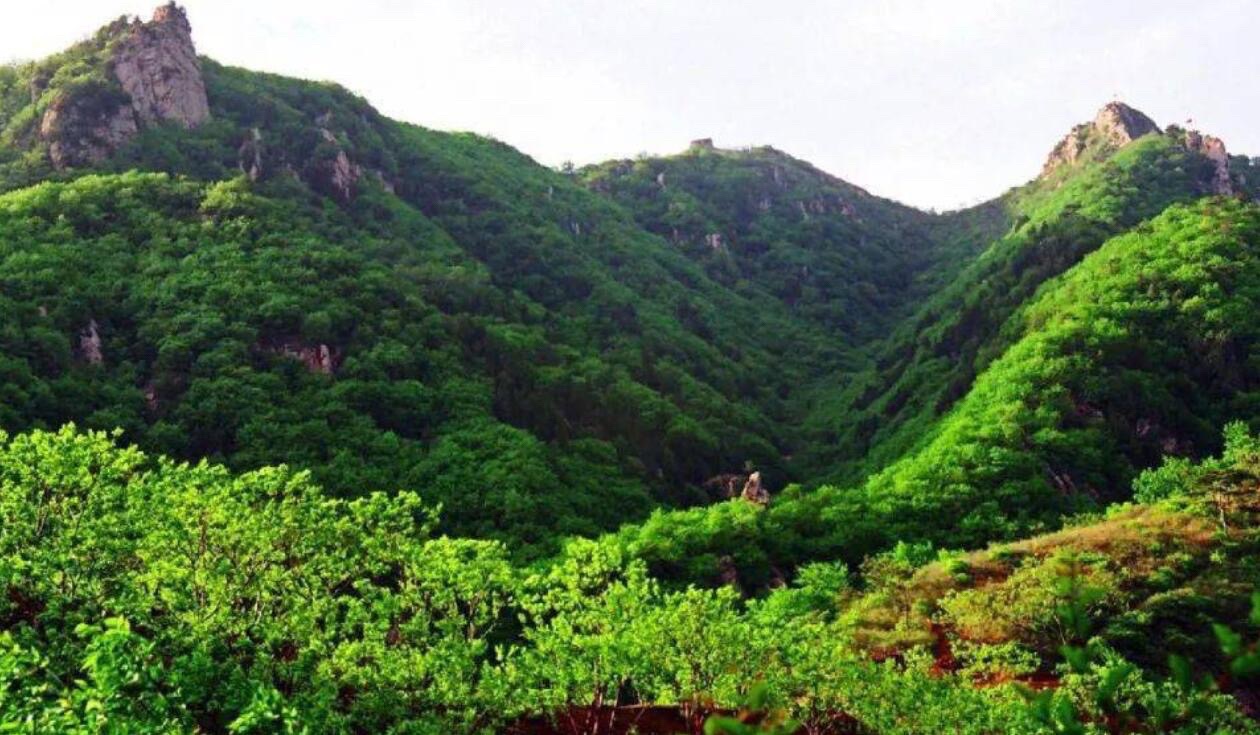 鹫峰山旅行图片 1