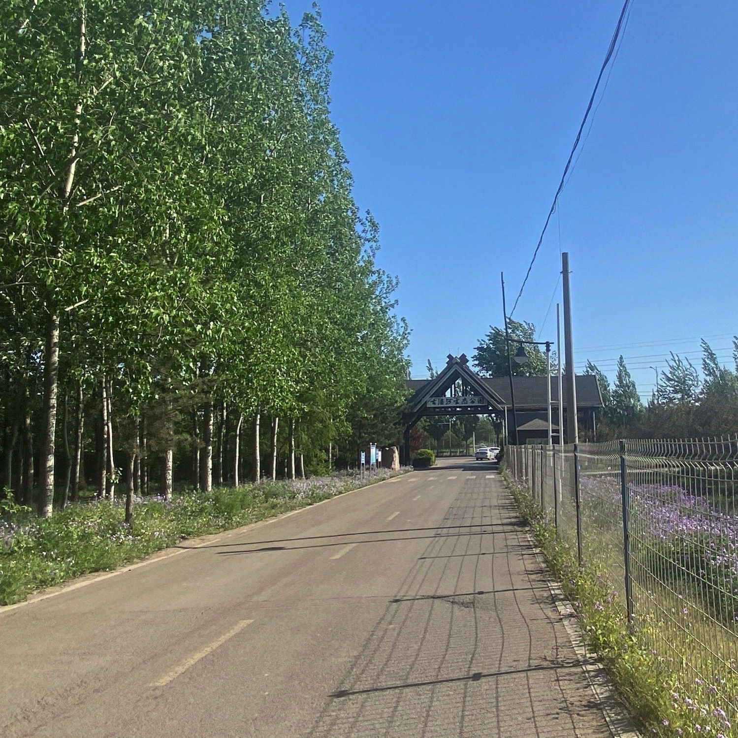 古滦河生态公园旅行图片 3