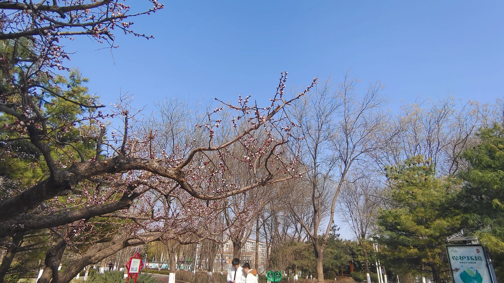伯雍公园旅行图片 3