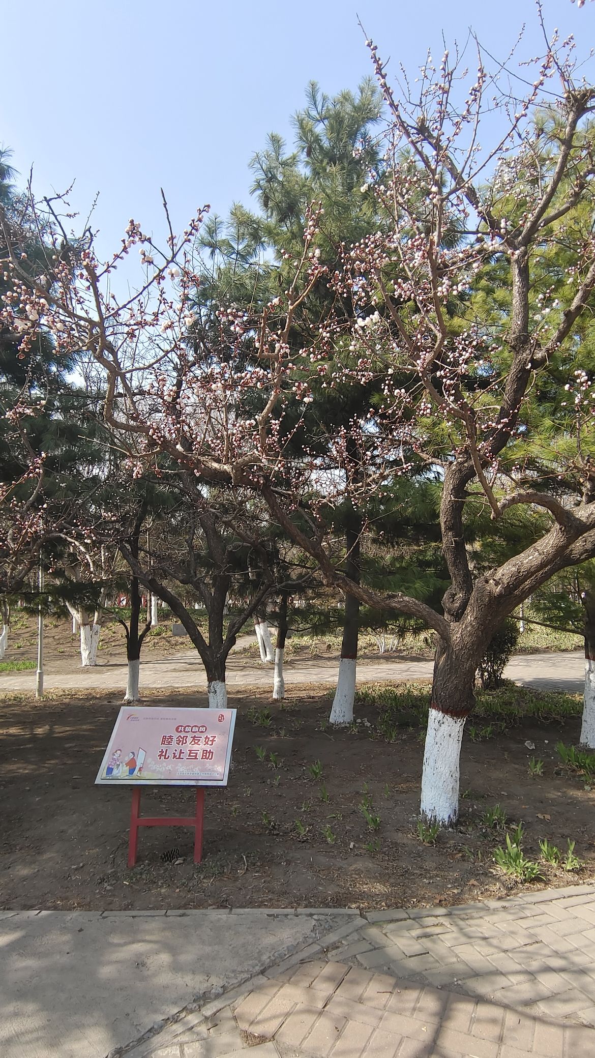 伯雍公园旅行图片 2