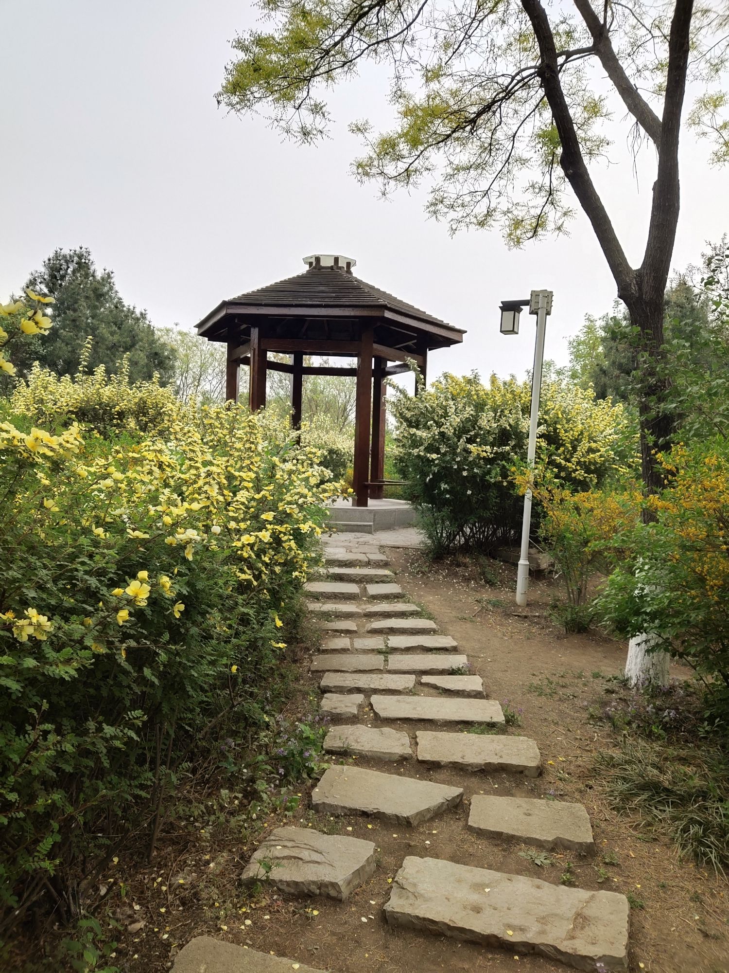 伯雍公园旅行图片 2