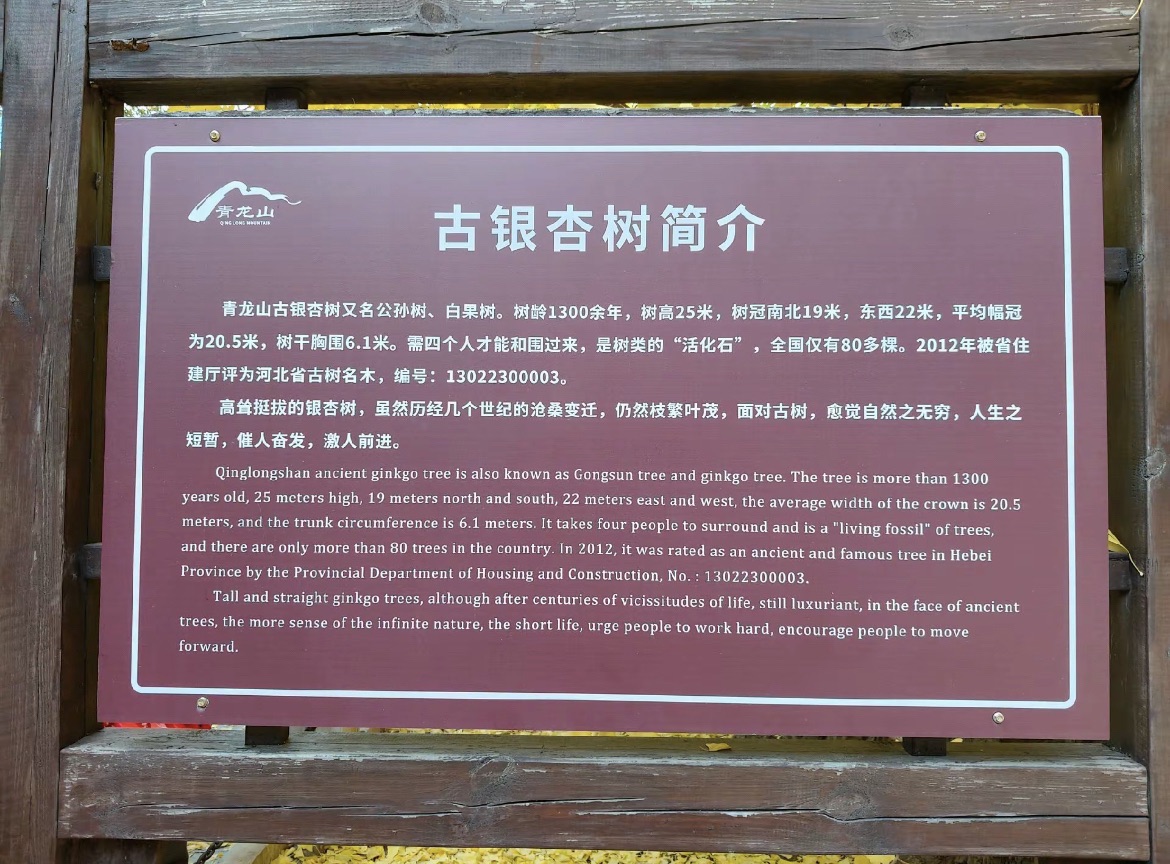青龙山景区旅行图片 2