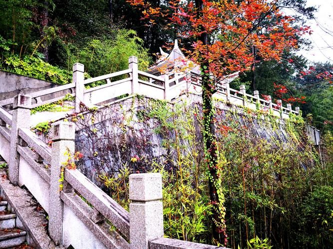 玉田县森林公园旅行图片 3