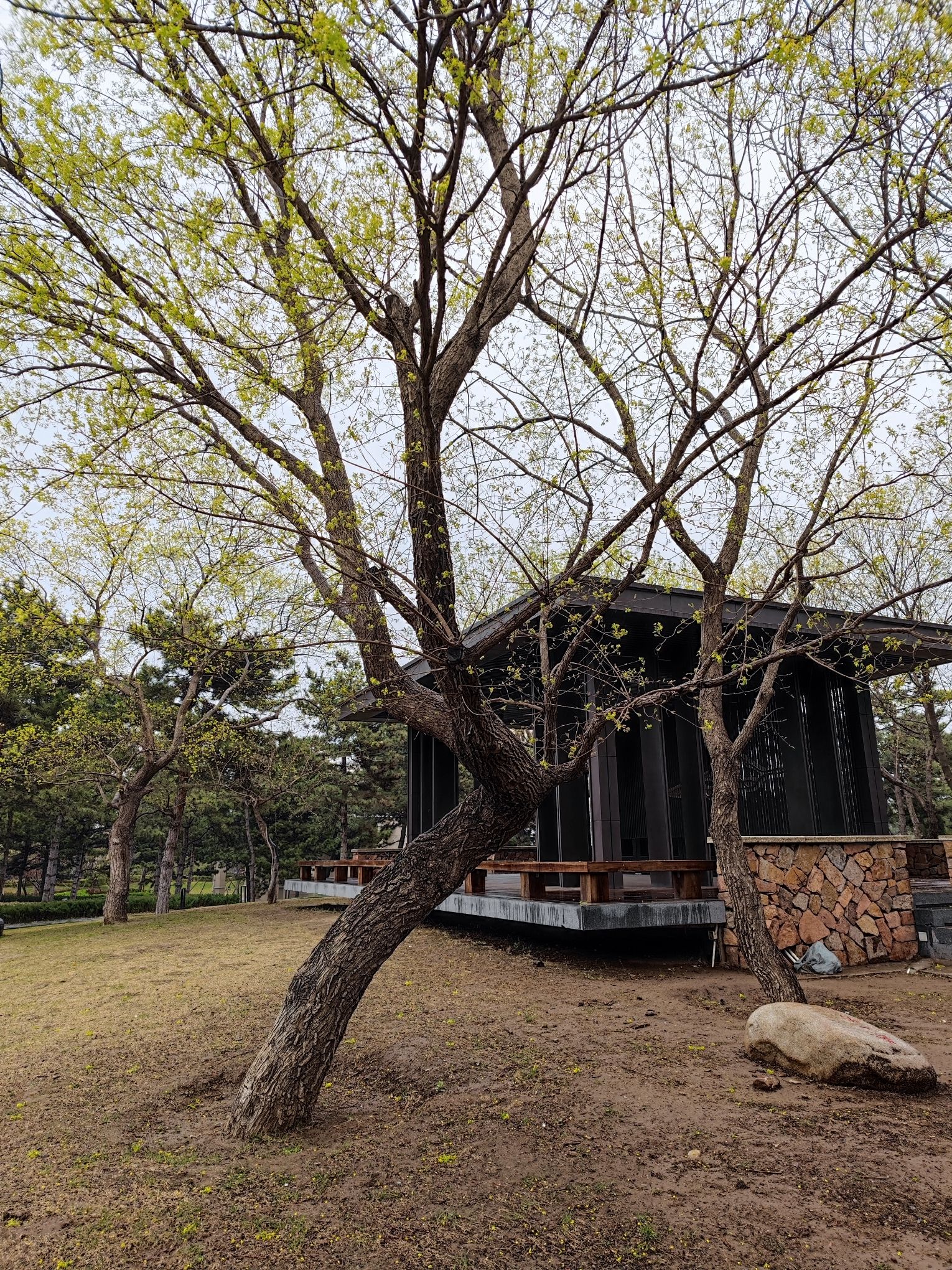 燕鑫公益园旅行图片 2