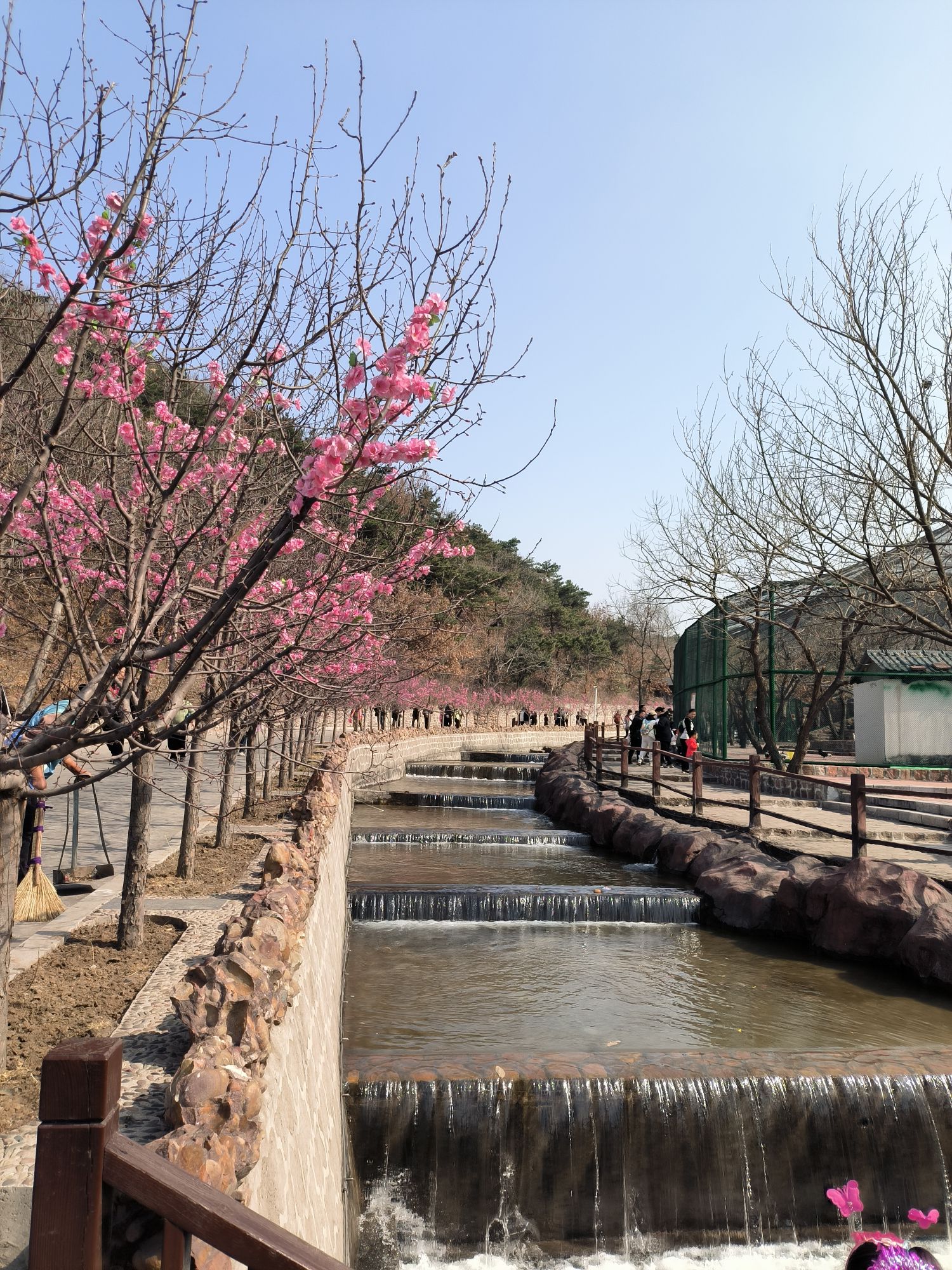 山叶口景区旅行图片 3
