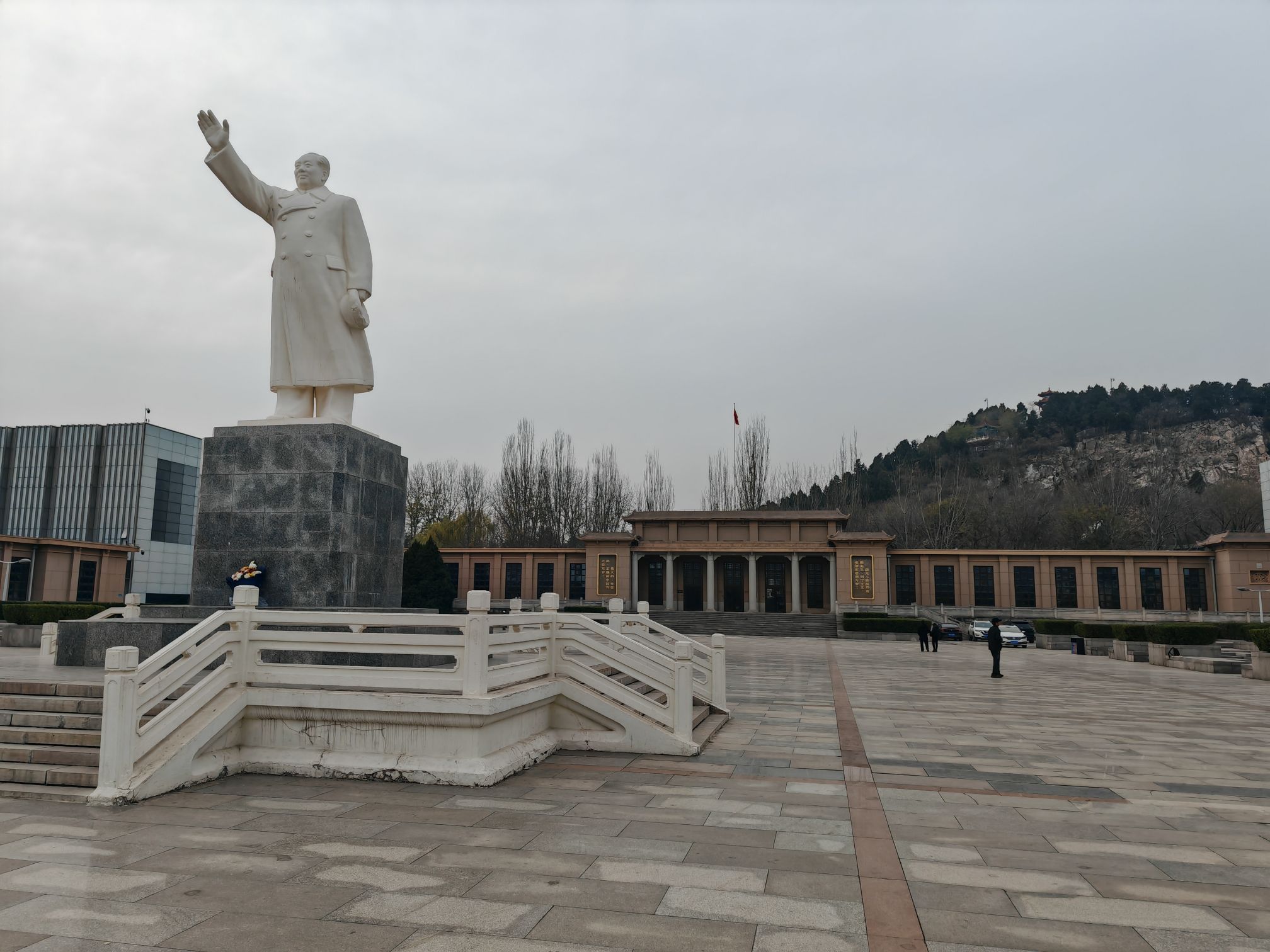 凤凰山公园-银杏广场