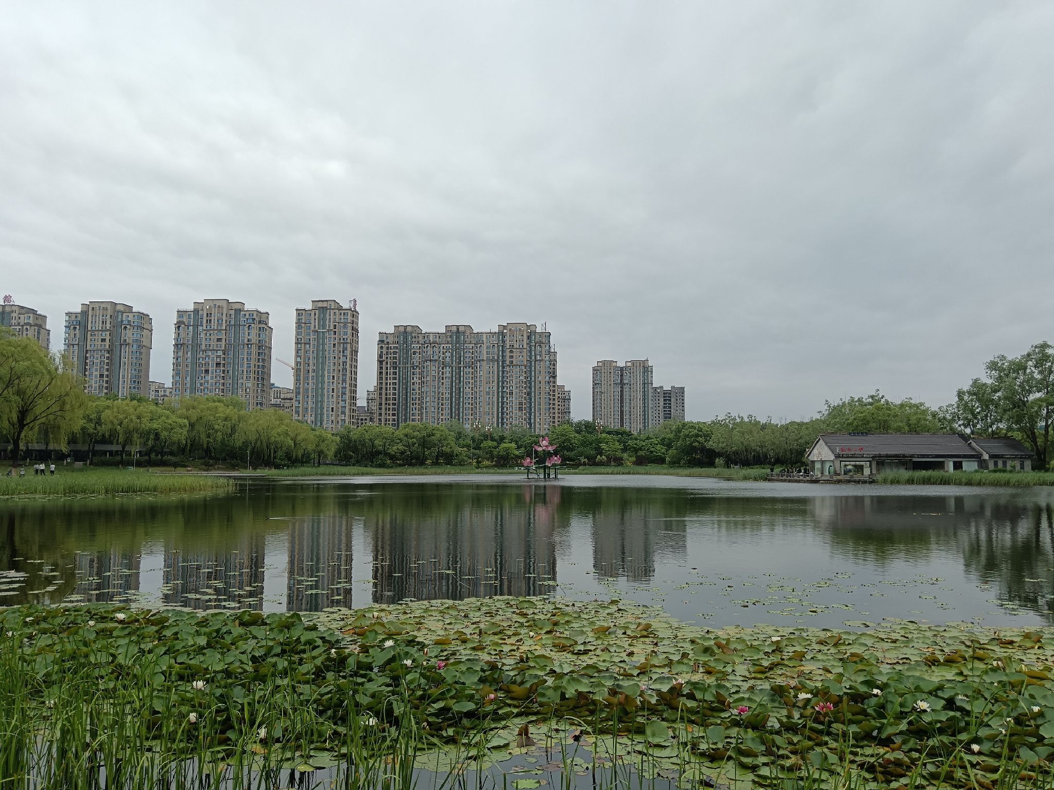 黄台湖旅行图片 2