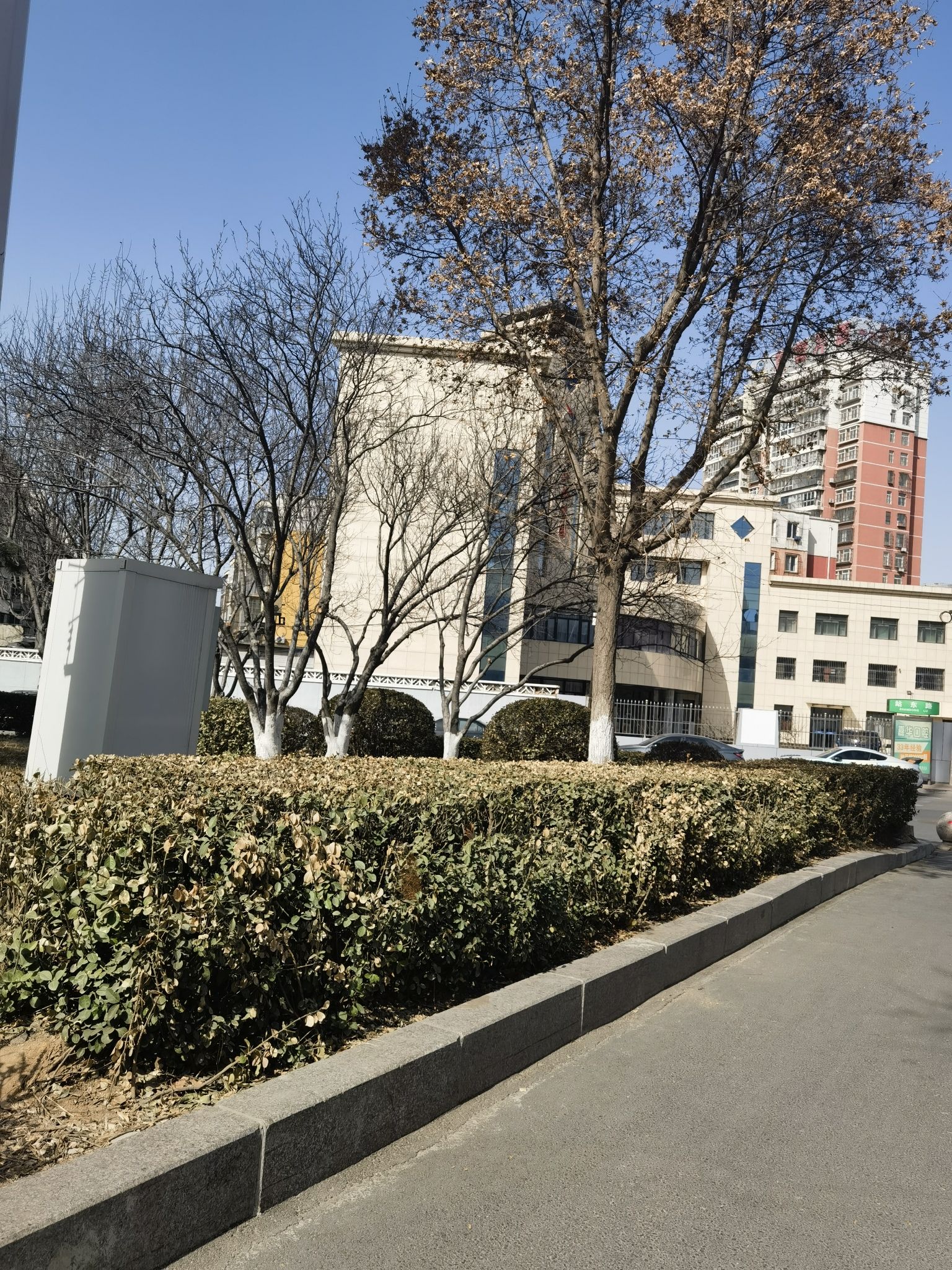 天宫寺塔旅行图片 3