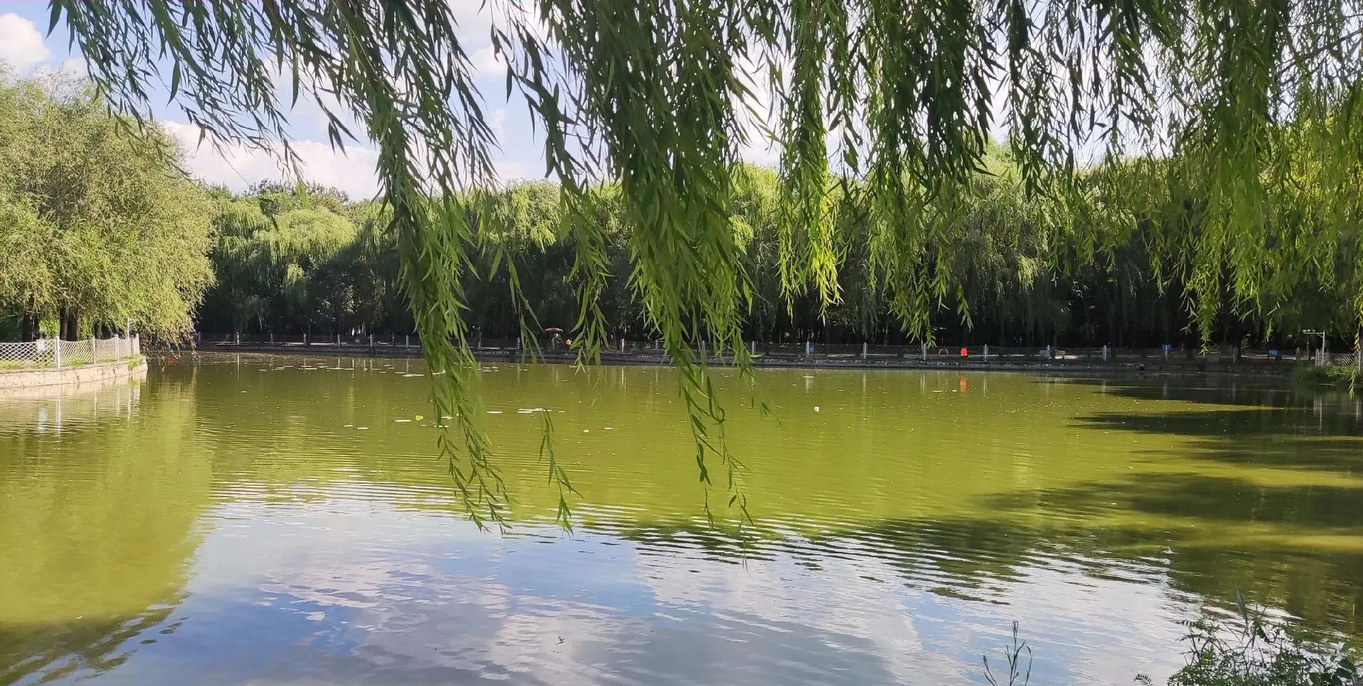 廊坊市自然公园旅行图片 3