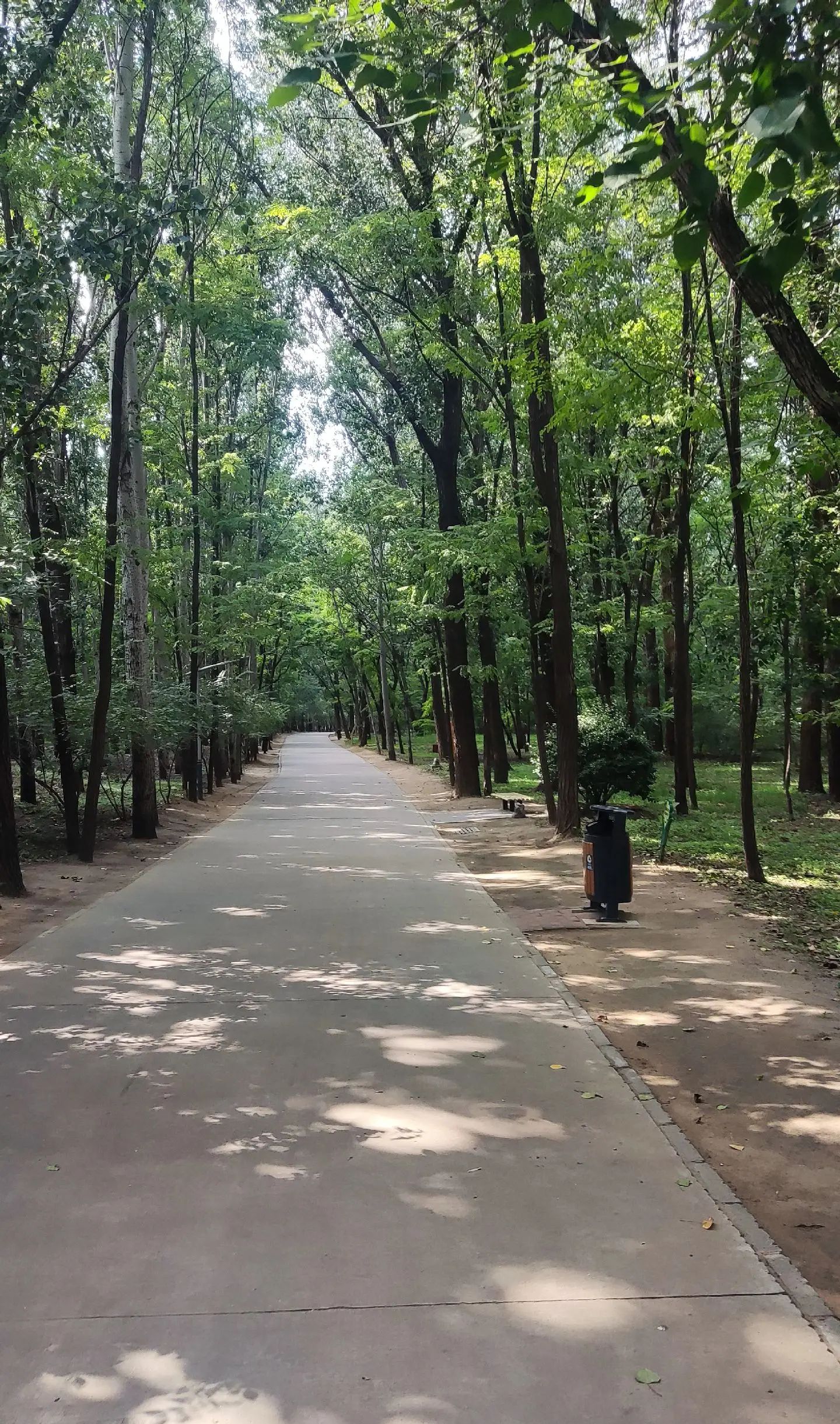 廊坊市自然公园旅行图片 1