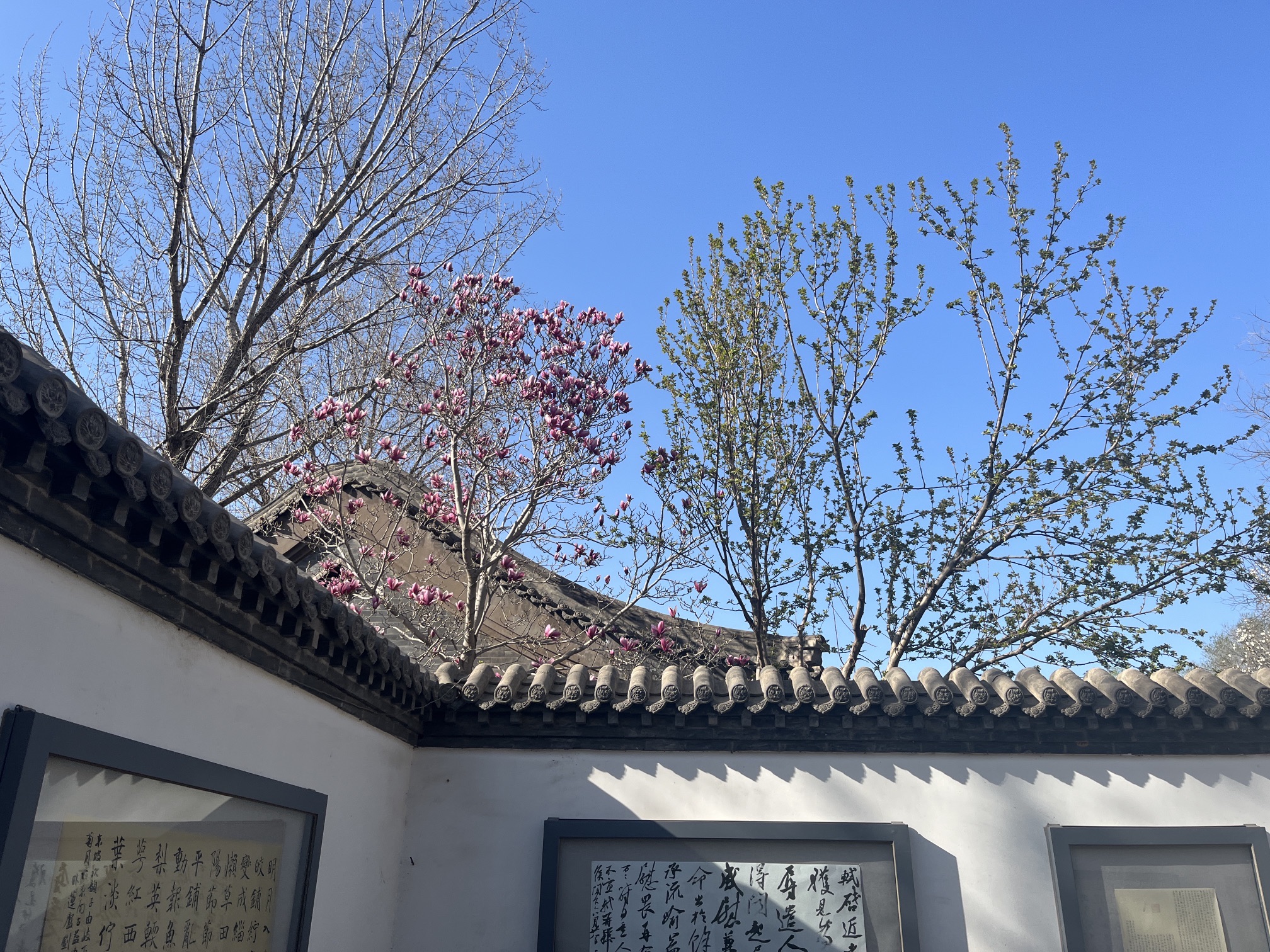 廊坊市自然公园旅行图片 2