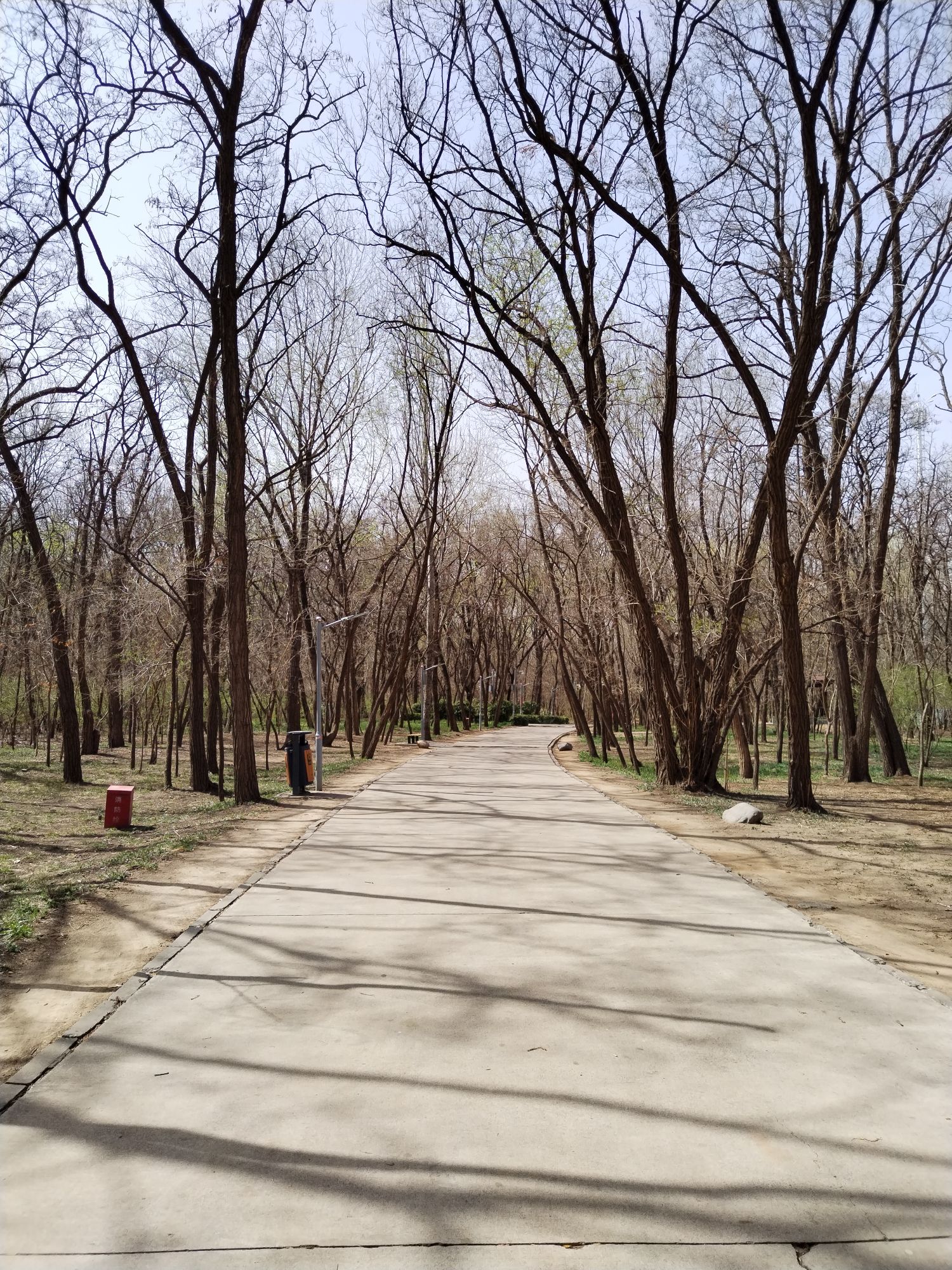 廊坊市自然公园旅行图片 3