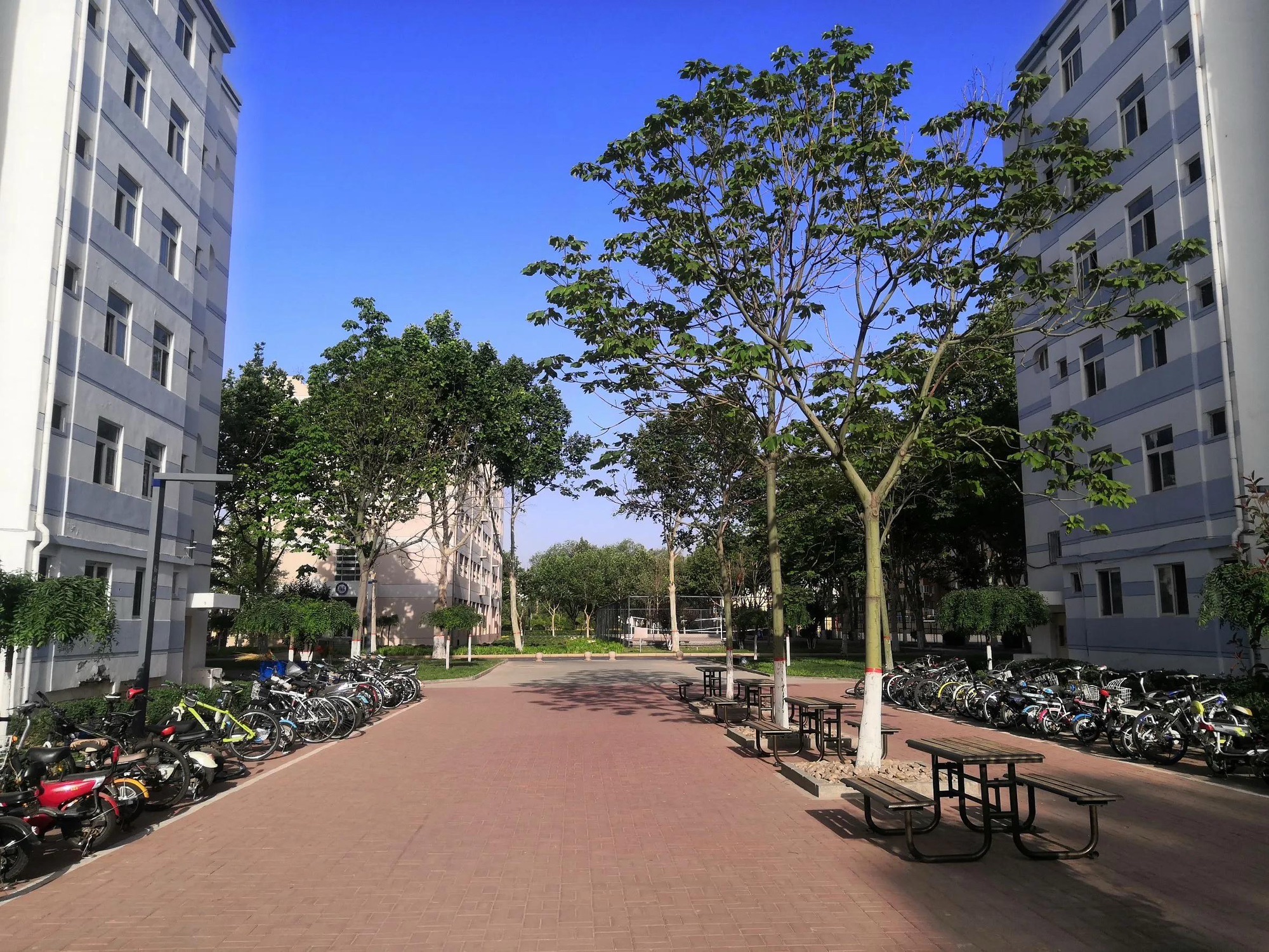 河北工业大学廊坊分校西院
