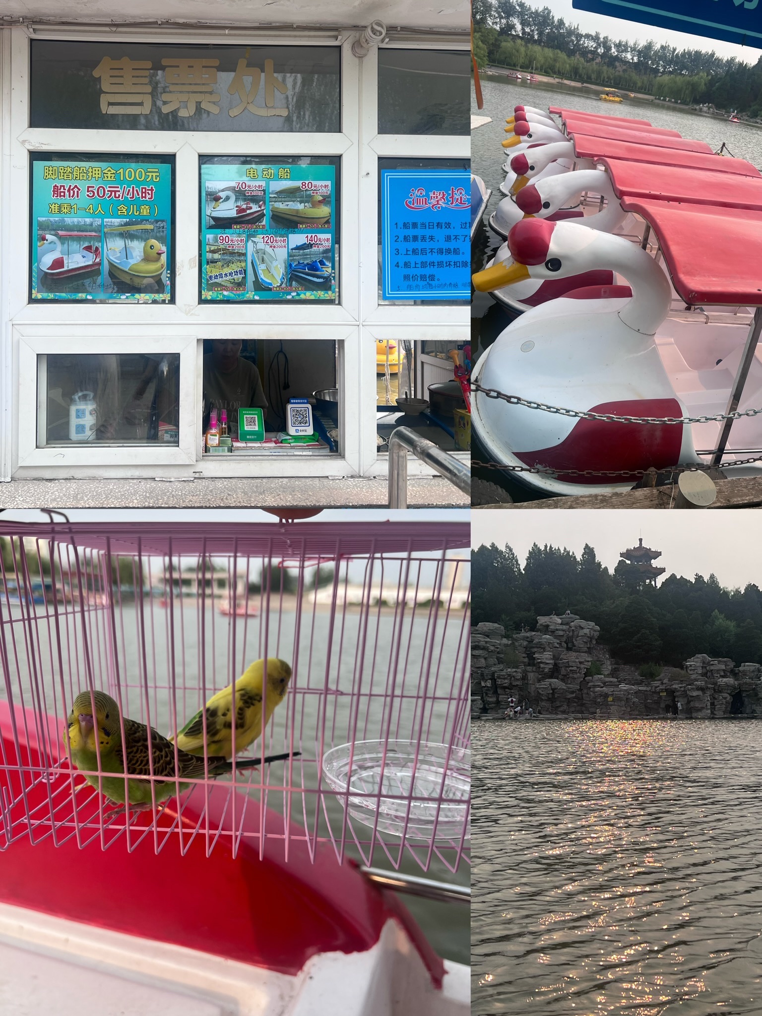 人民公园旅行图片 2