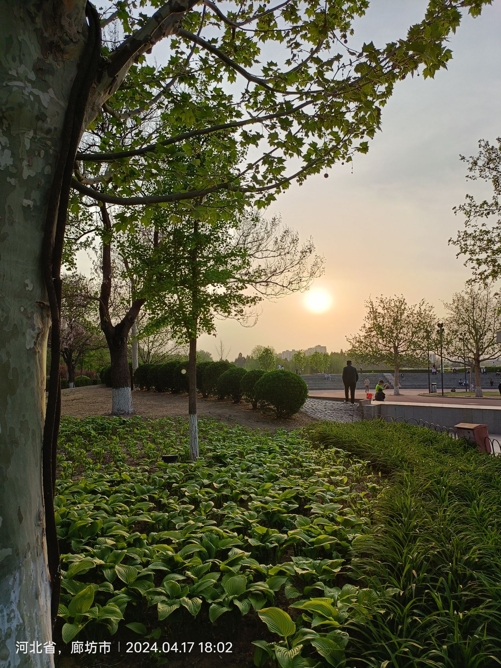 人民公园旅行图片 2