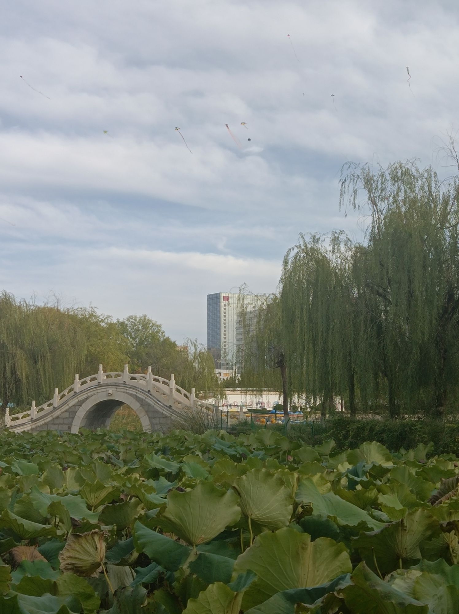 人民公园旅行图片 2