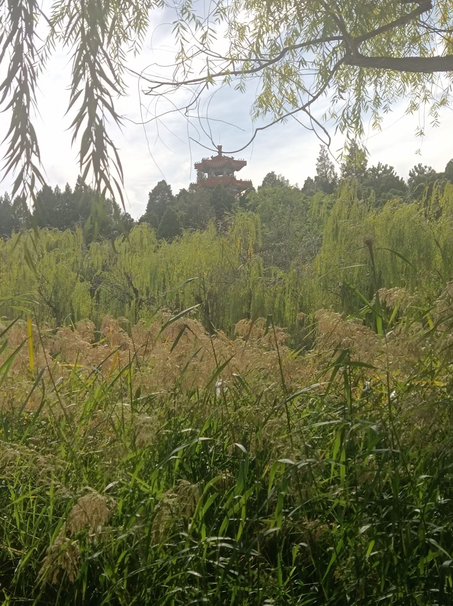 人民公园旅行图片 3