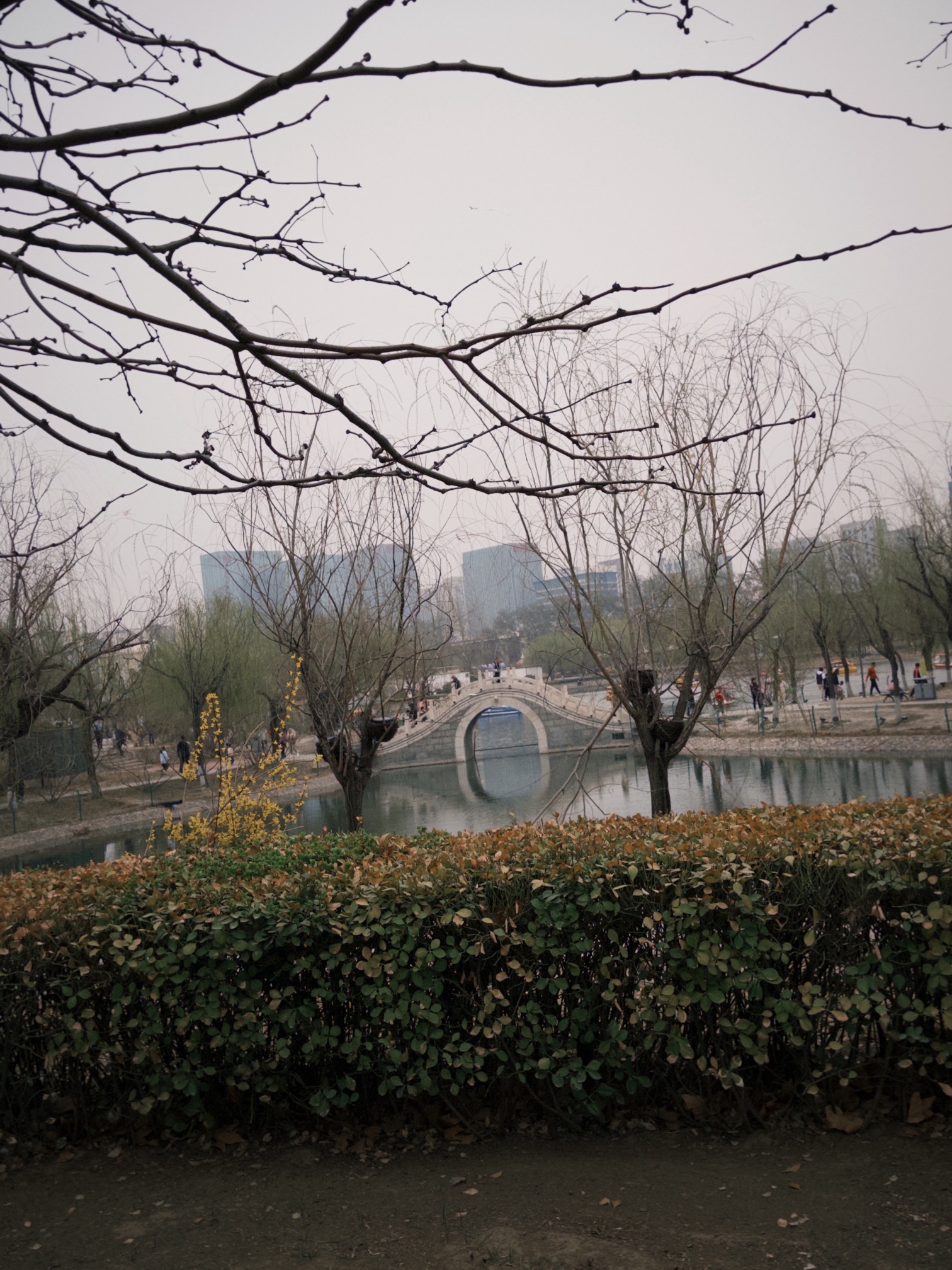人民公园旅行图片 1